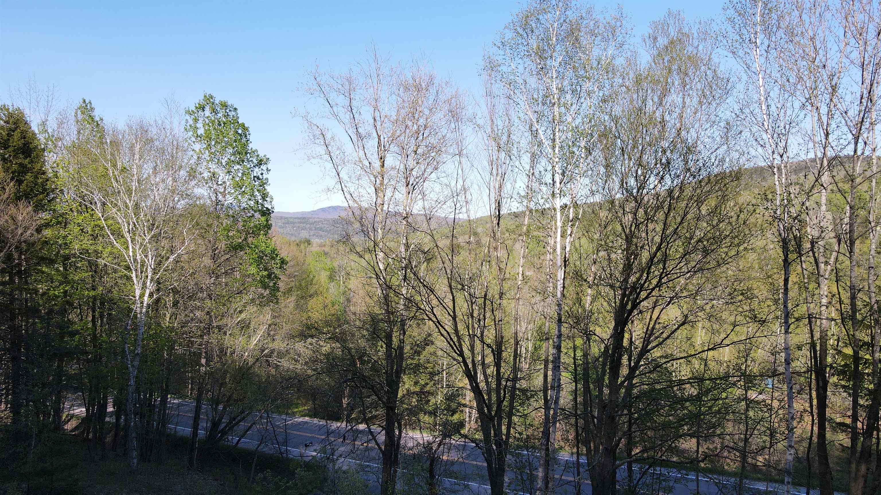 Homes for sale in Duxbury, VT | 0 Vt State Route 100, Duxbury, VT 05676 | MLS# 5017549