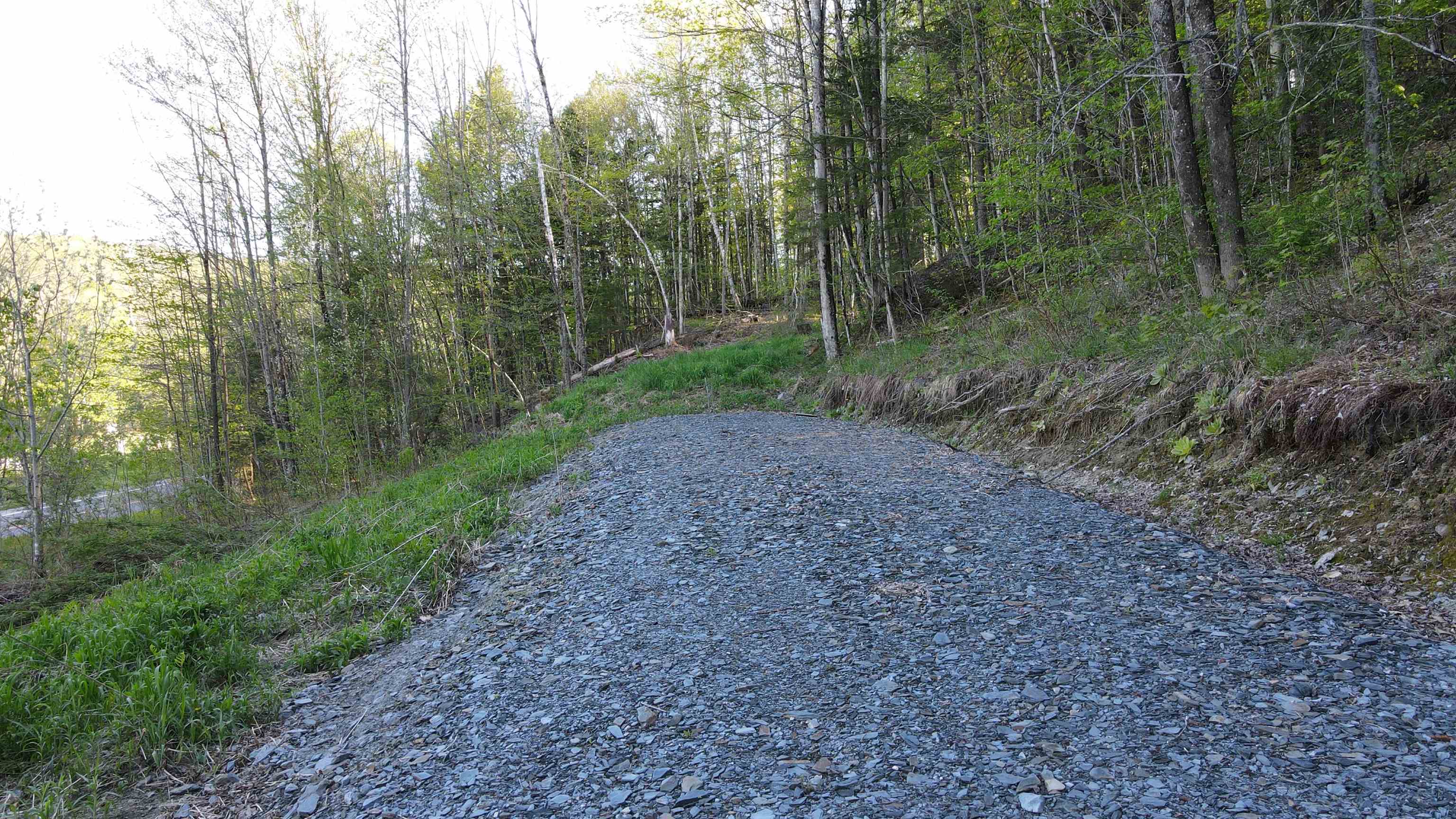 Homes for sale in Duxbury, VT | 0 Vt State Route 100, Duxbury, VT 05676 | MLS# 5017549