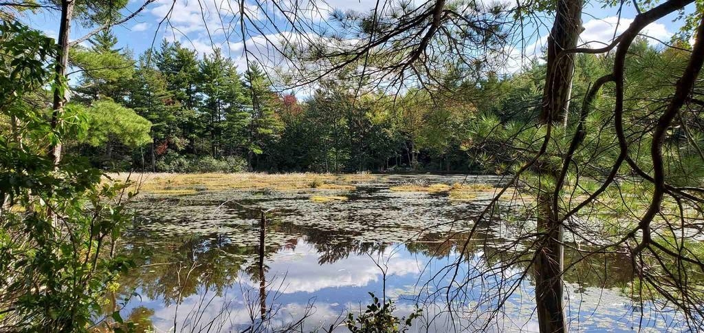 Homes for sale in New Ipswich, NH | 220 Stowell Rd, New Ipswich, NH 03071 | MLS# 5017714