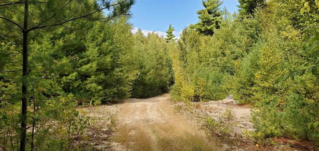 Homes for sale in New Ipswich, NH | 220 Stowell Rd, New Ipswich, NH 03071 | MLS# 5017714