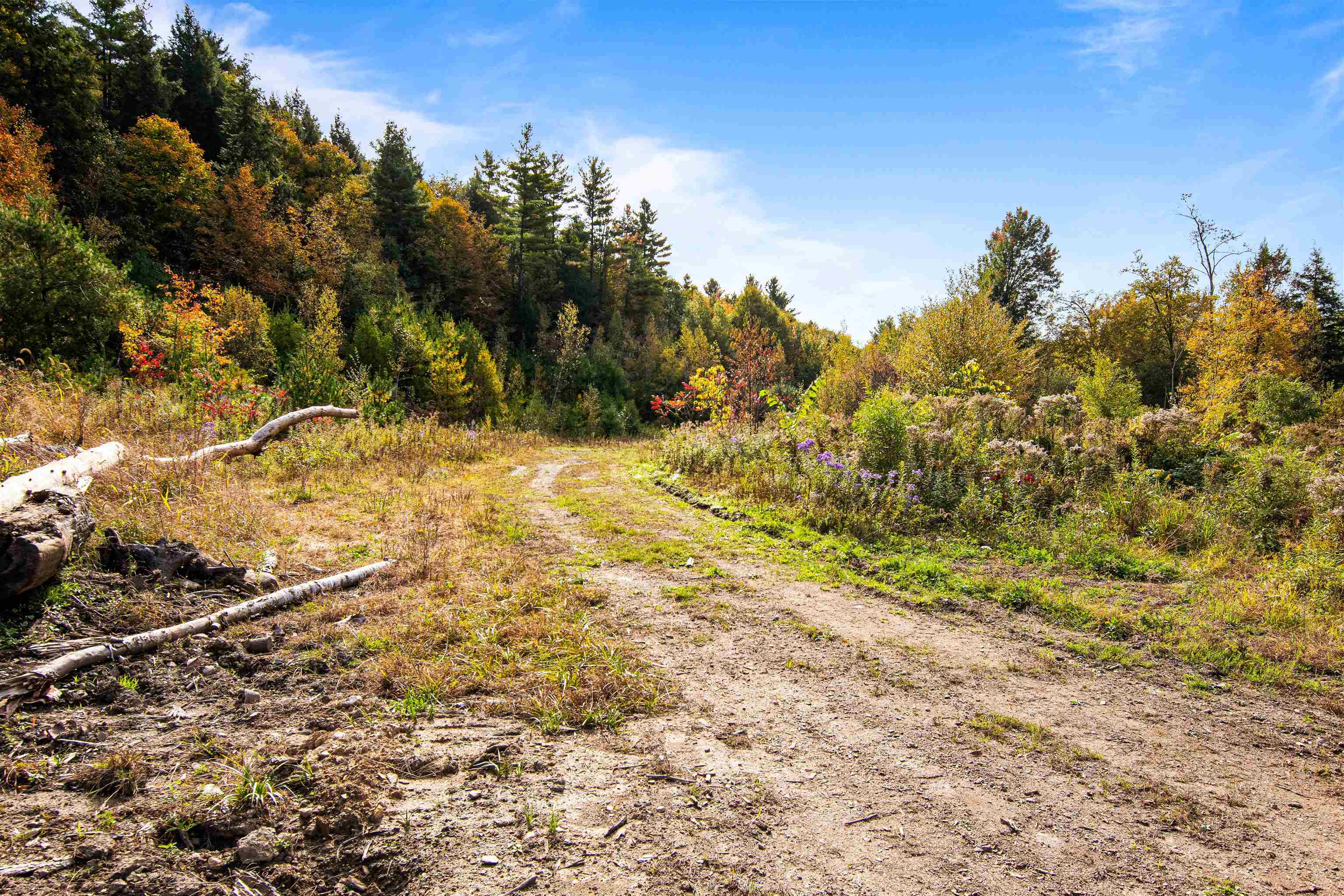 Homes for sale in Highgate, VT | 00 Raymo Dr, Highgate, VT 05459 | MLS# 5018542