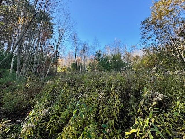 Route 132 , Strafford, VT 05070