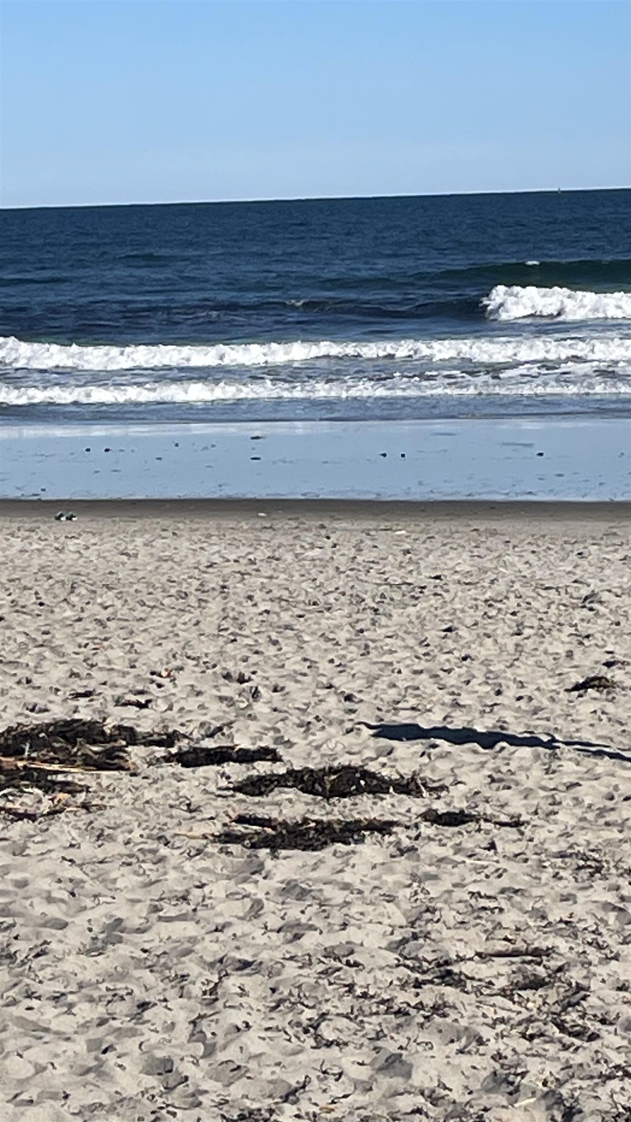 Homes for sale in Rye, NH | 51 Wallis Rd, Rye, NH 03870 | MLS# 5020125