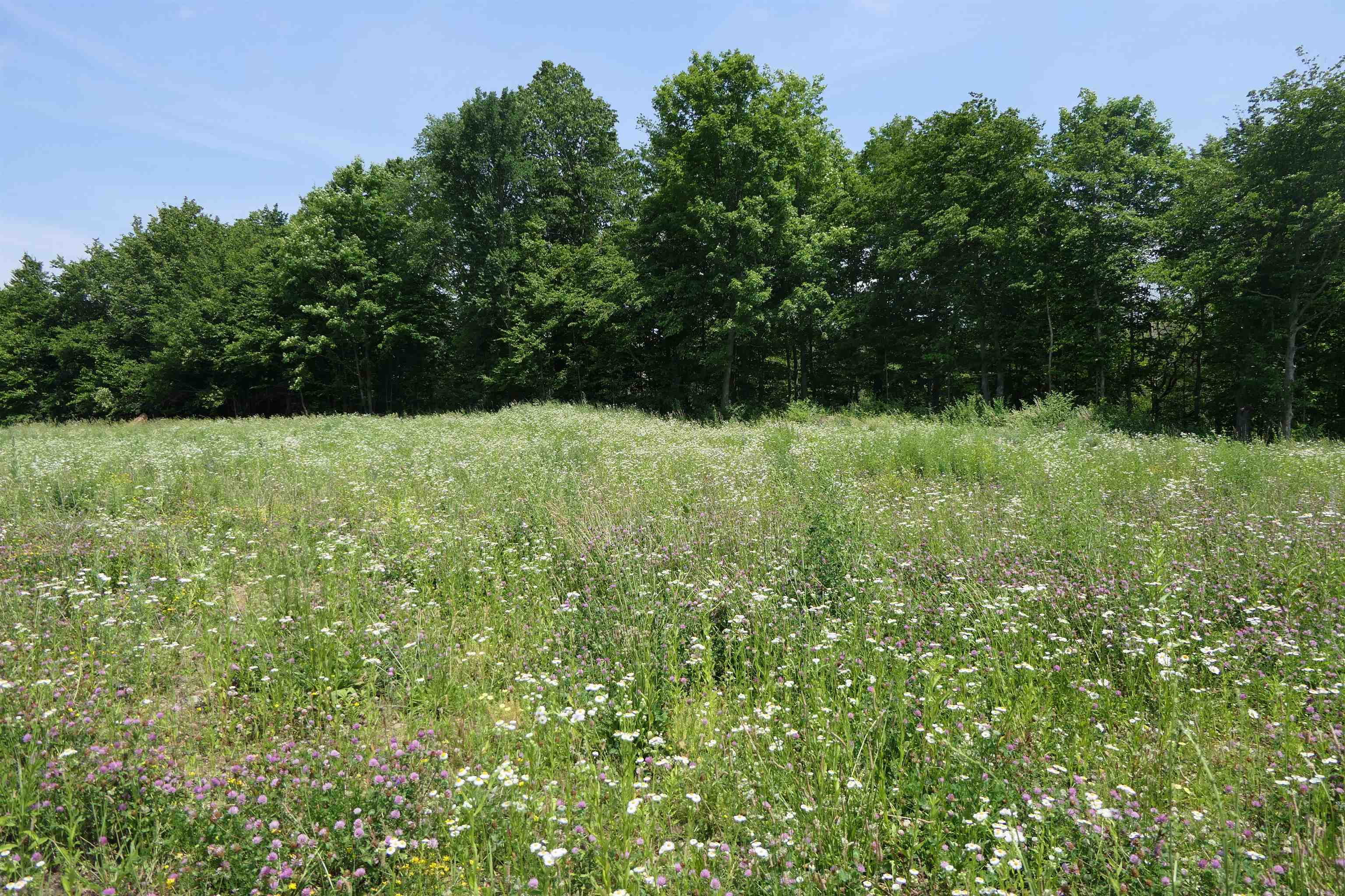 Homes for sale in Swanton, VT | 96 Ellsworth Dr, Swanton, VT 05488 | MLS# 5020136