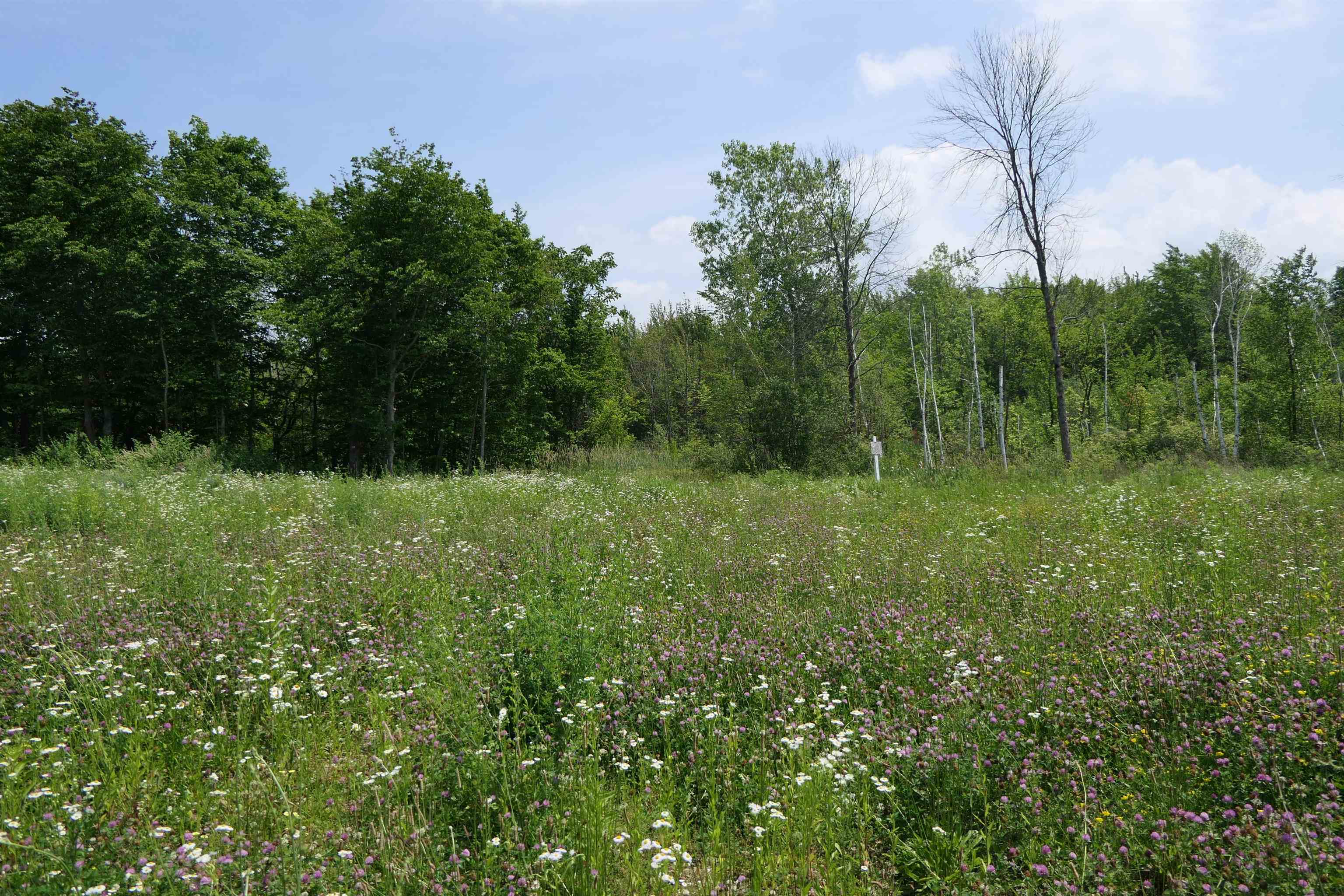 Homes for sale in Swanton, VT | 96 Ellsworth Dr, Swanton, VT 05488 | MLS# 5020136