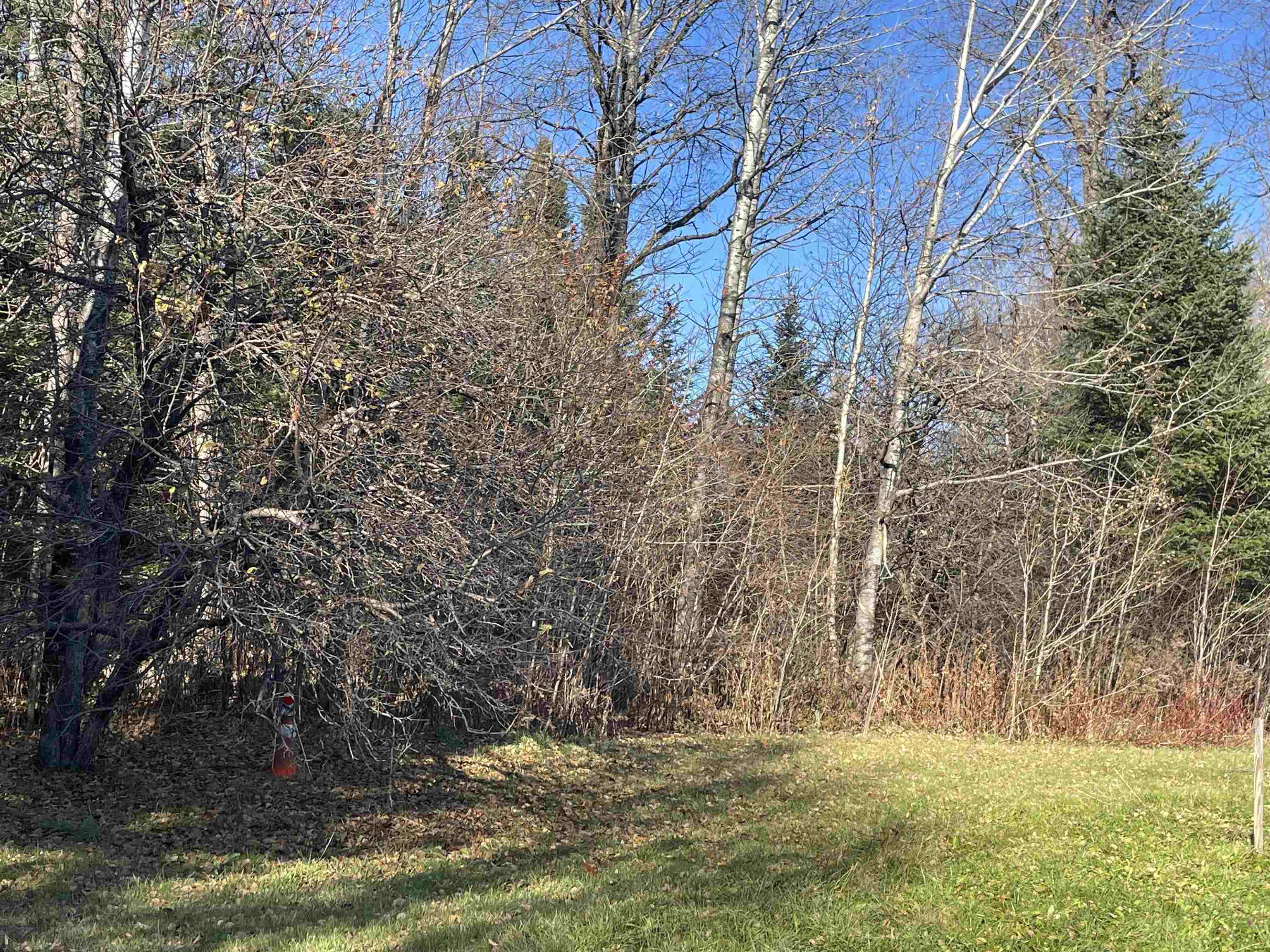 Homes for sale in Norton, VT | 4491 Vermont 114, Norton, VT 05907 | MLS# 5020281