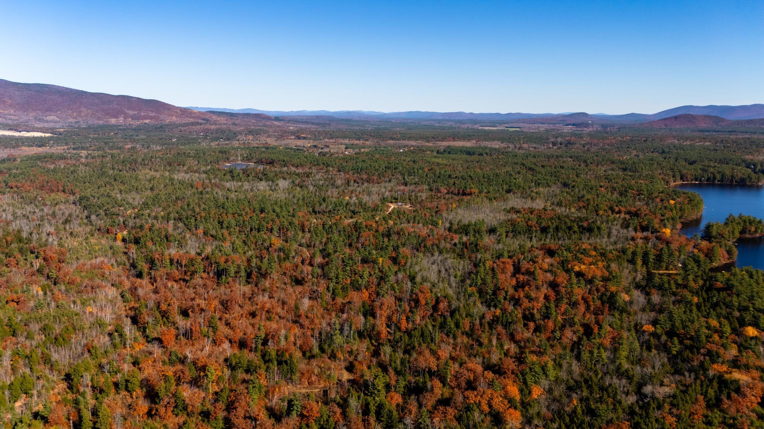 MLS #5020322 image #7