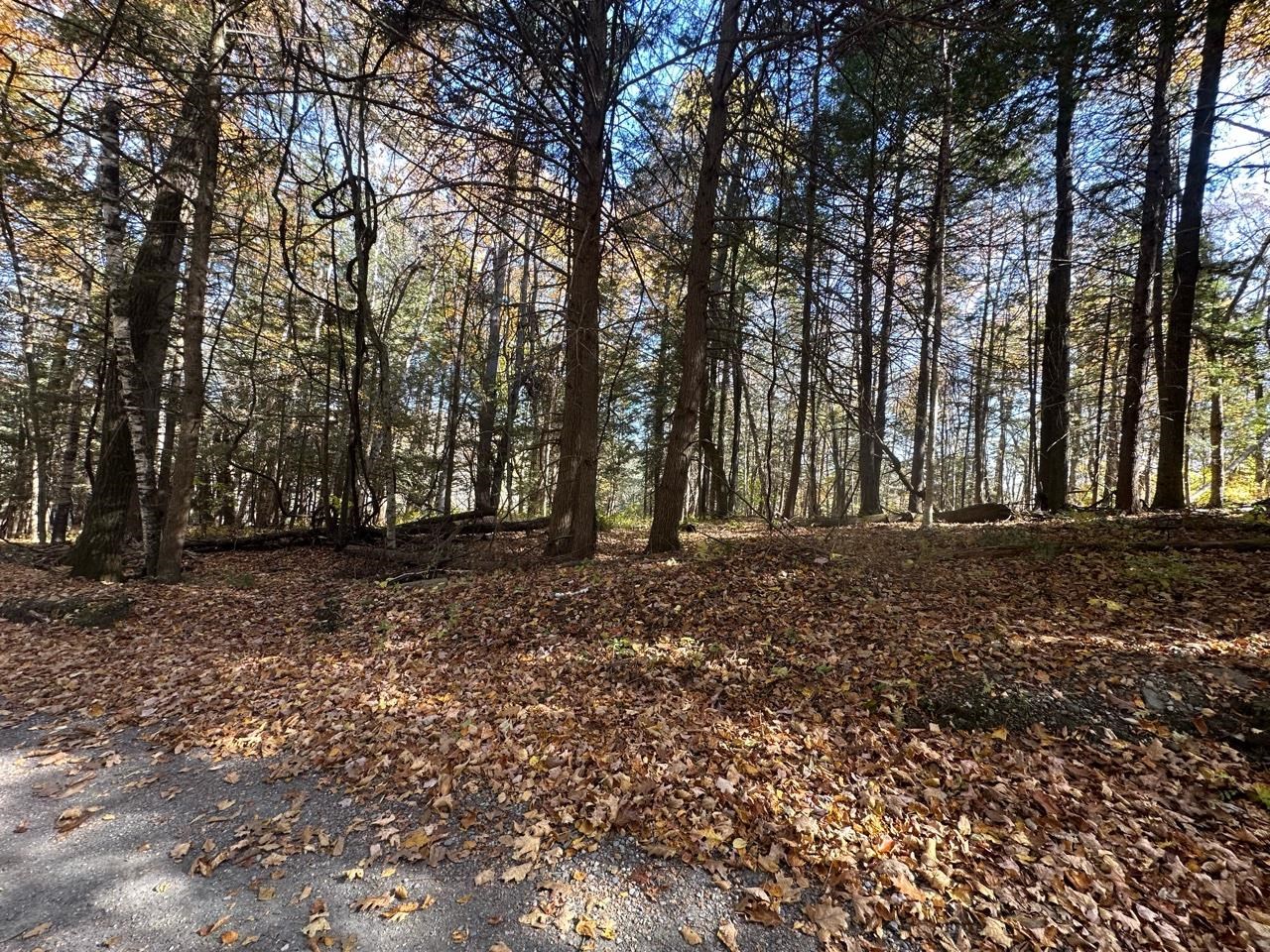 Homes for sale in Guilford, VT | 184 Dupre Dr, Guilford, VT 05301 | MLS# 5020773