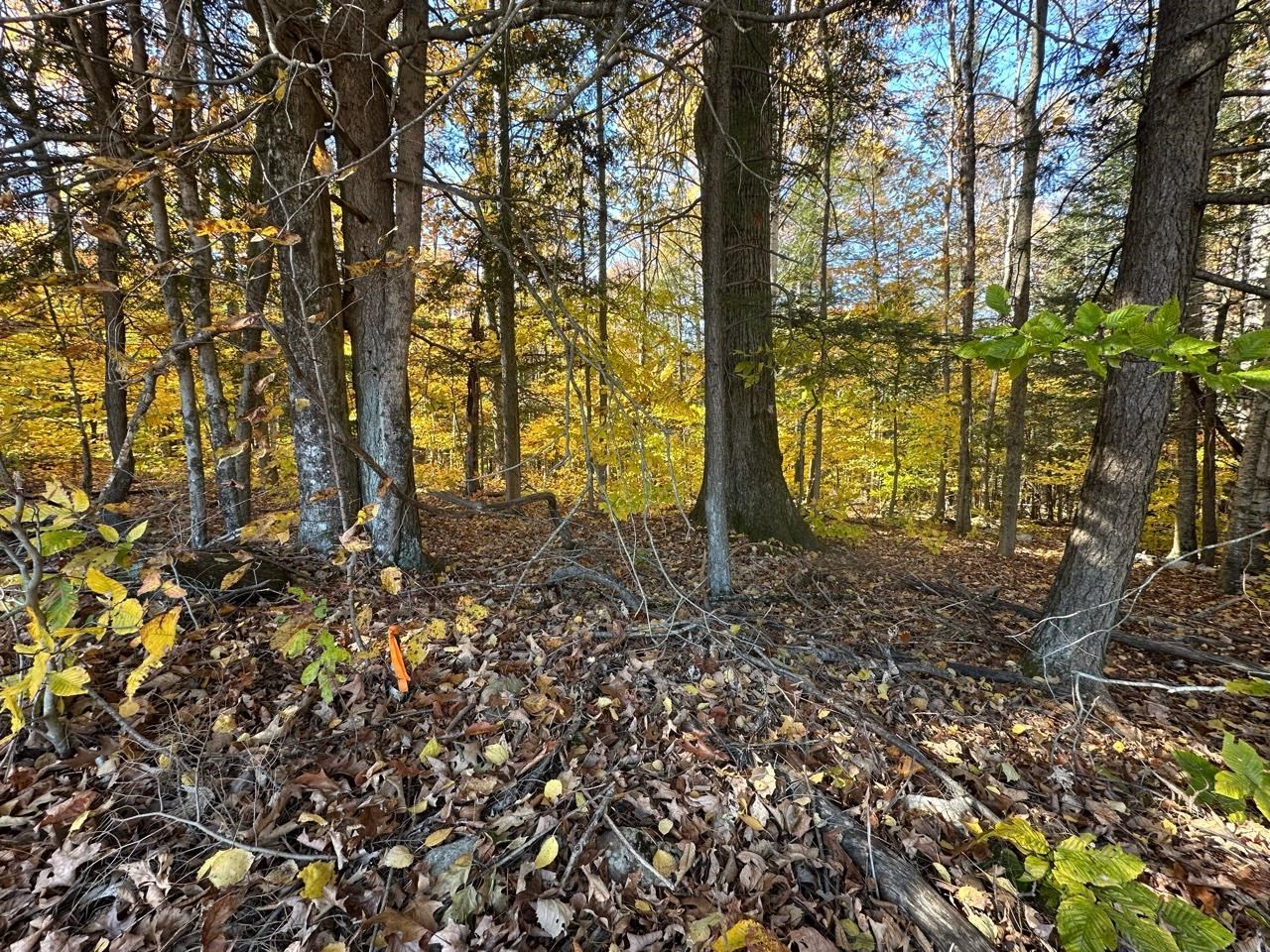 Homes for sale in Guilford, VT | 184 Dupre Dr, Guilford, VT 05301 | MLS# 5020773