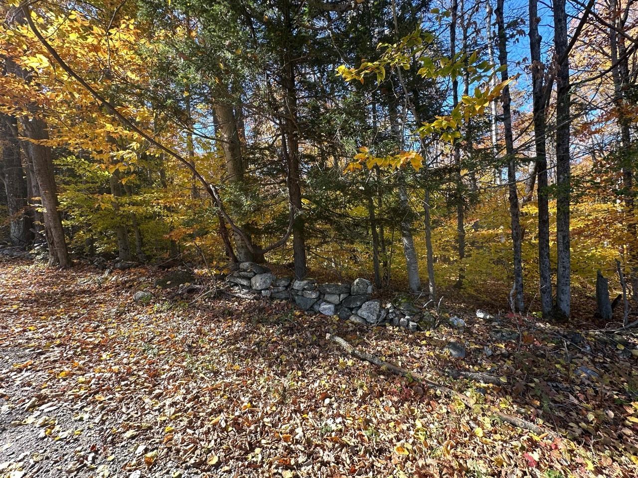 Homes for sale in Guilford, VT | 184 Dupre Dr, Guilford, VT 05301 | MLS# 5020773