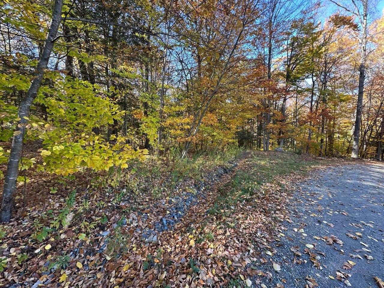 Homes for sale in Guilford, VT | 184 Dupre Dr, Guilford, VT 05301 | MLS# 5020773