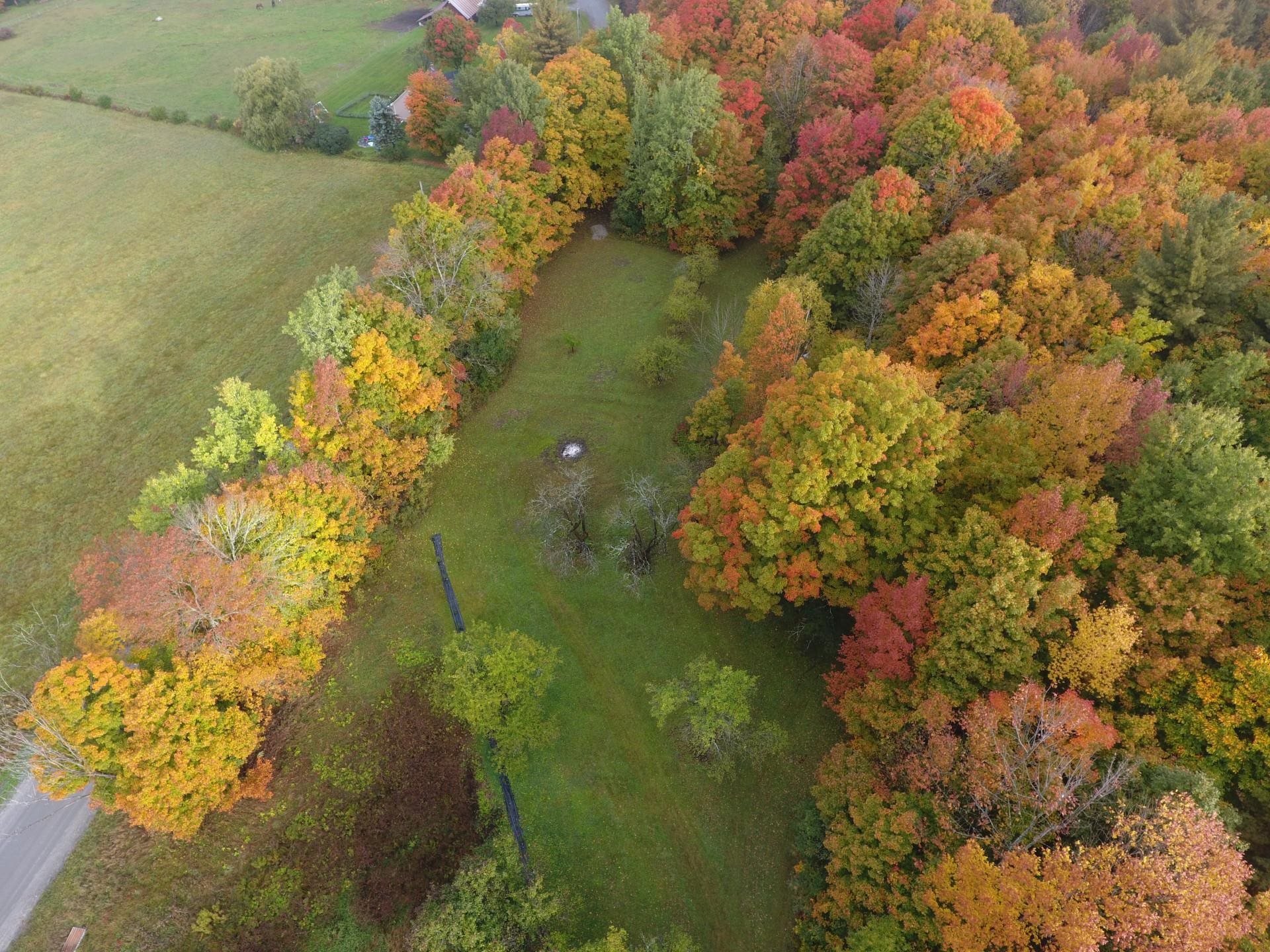 Homes for sale in Williamstown, VT | 365 Tower Rd, Williamstown, VT 05679 | MLS# 5020828