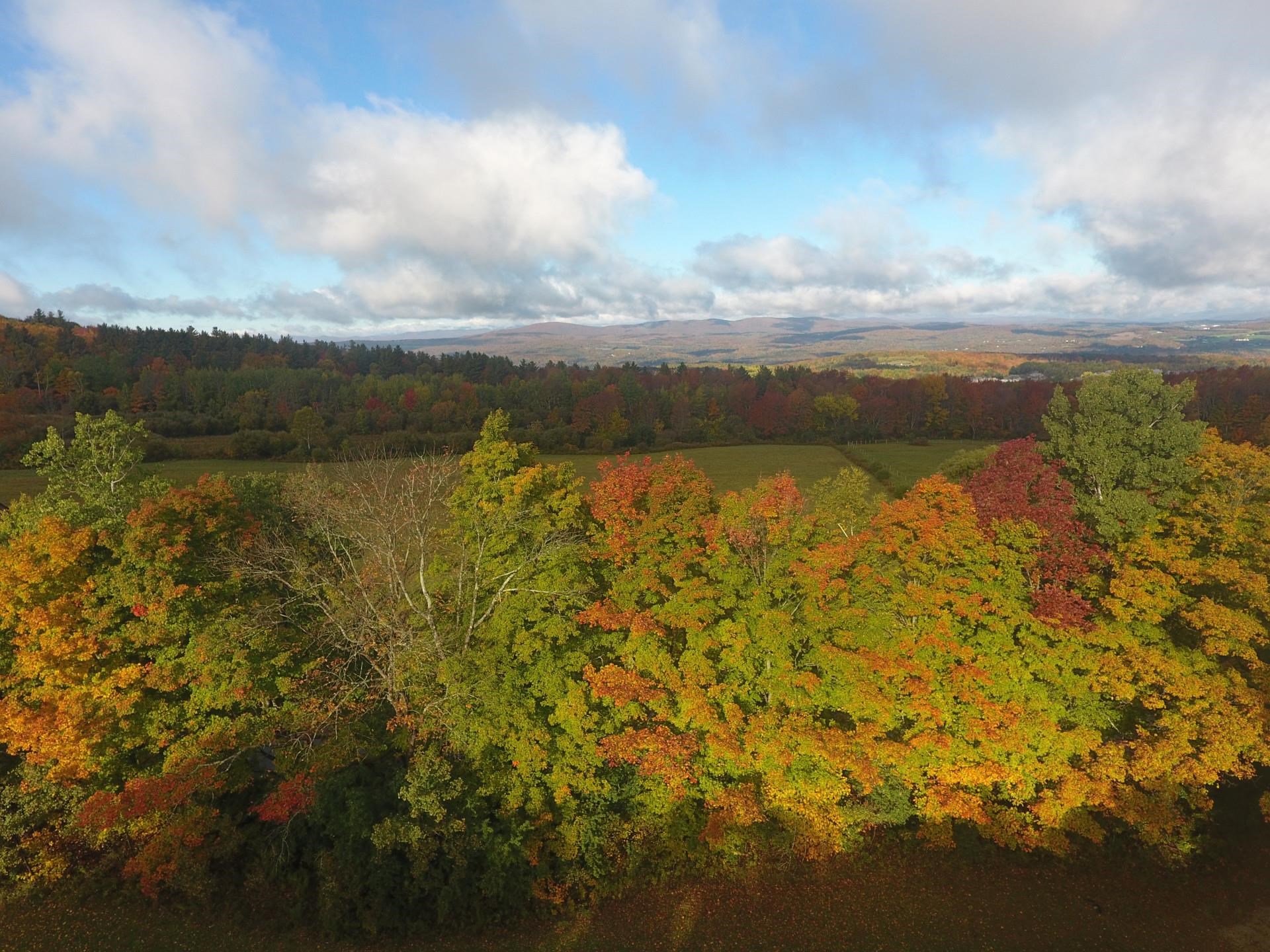 Homes for sale in Williamstown, VT | 365 Tower Rd, Williamstown, VT 05679 | MLS# 5020828