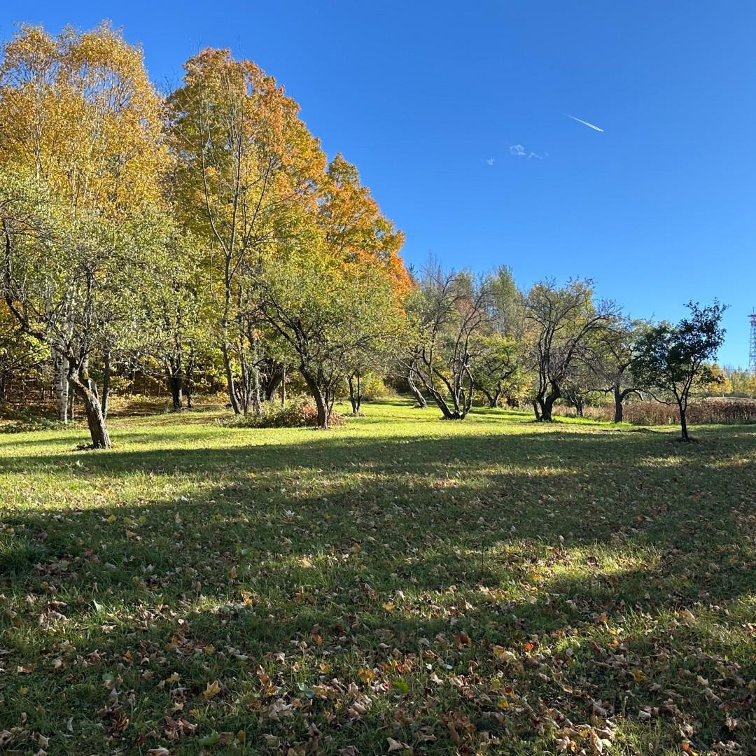 Homes for sale in Williamstown, VT | 365 Tower Rd, Williamstown, VT 05679 | MLS# 5020828