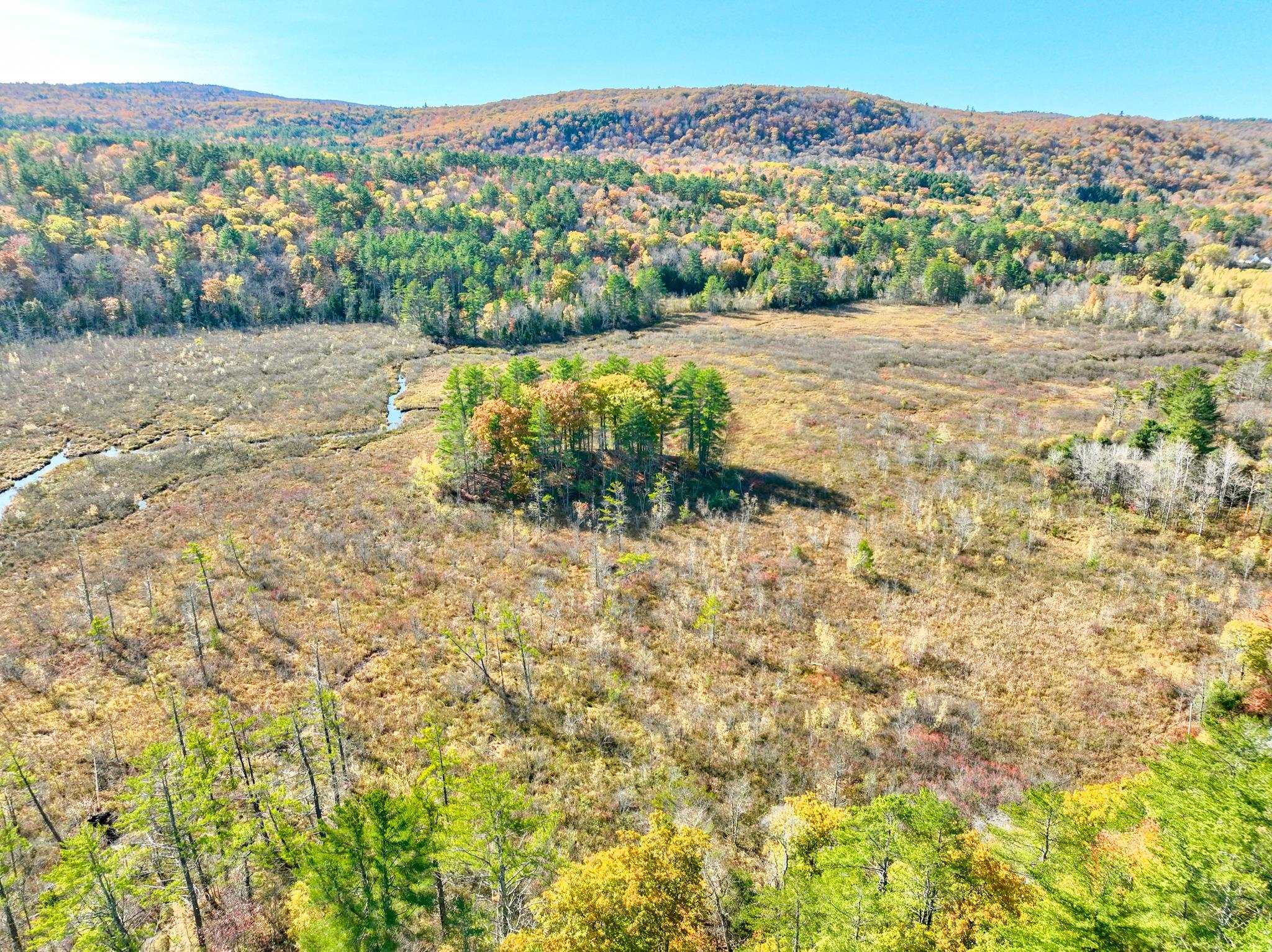 Homes for sale in Grafton, NH | 00 Riddle Hill Rd, Grafton, NH 03240 | MLS# 5021002