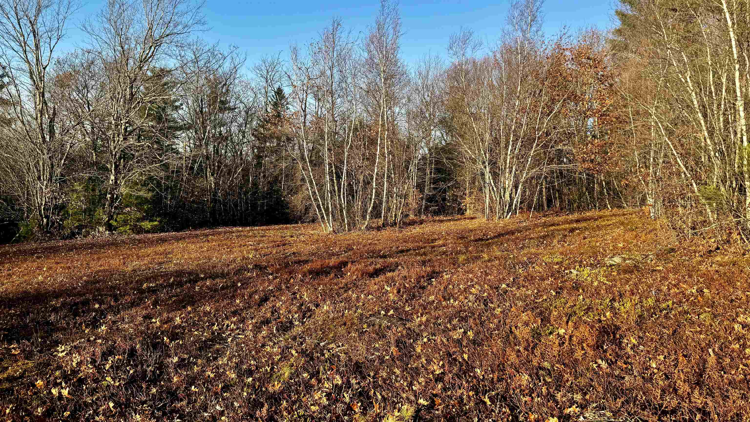 MLS #5021384 image #10