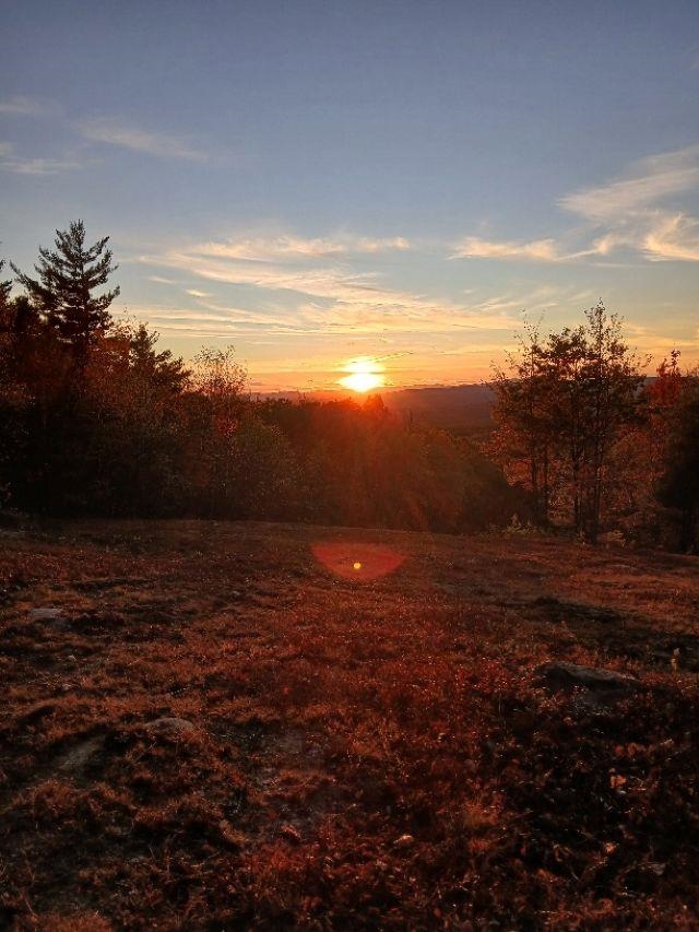 MLS #5021384 image #2