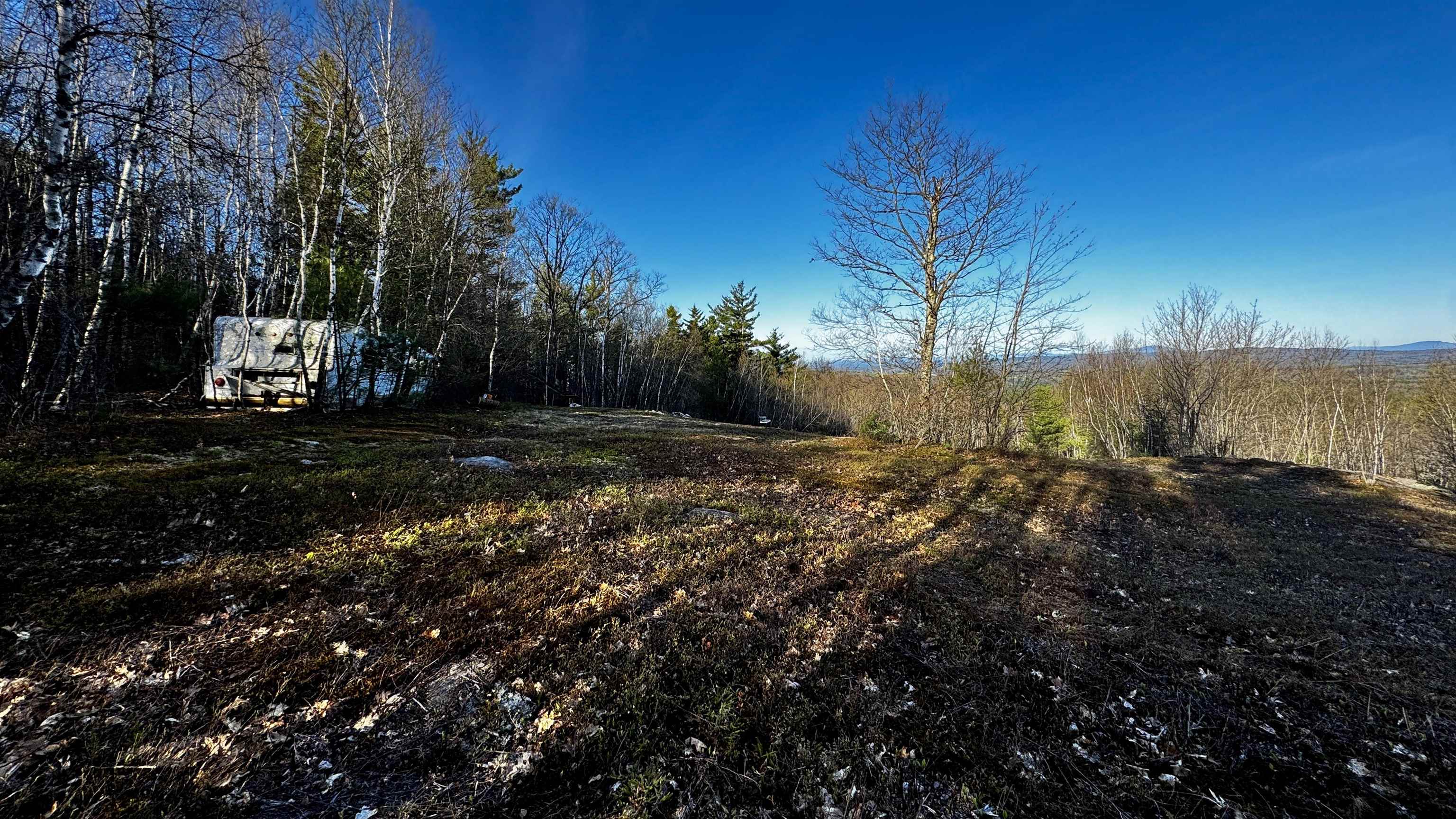 MLS #5021384 image #14