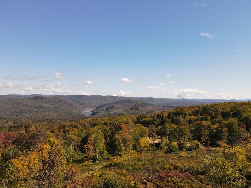 Homes for sale in Jamaica, VT | West Hill Rd, Jamaica, VT 05343 | MLS# 5021448