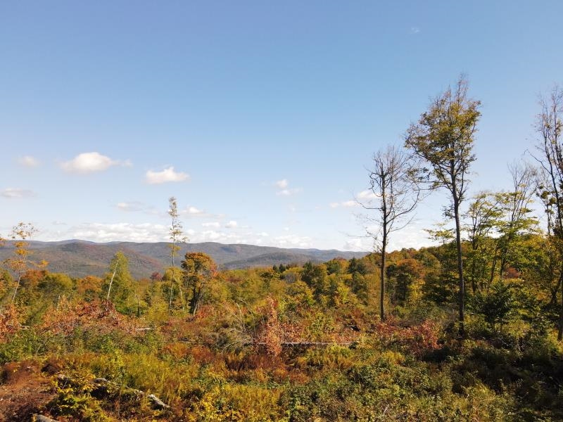 Homes for sale in Jamaica, VT | West Hill Rd, Jamaica, VT 05343 | MLS# 5021448