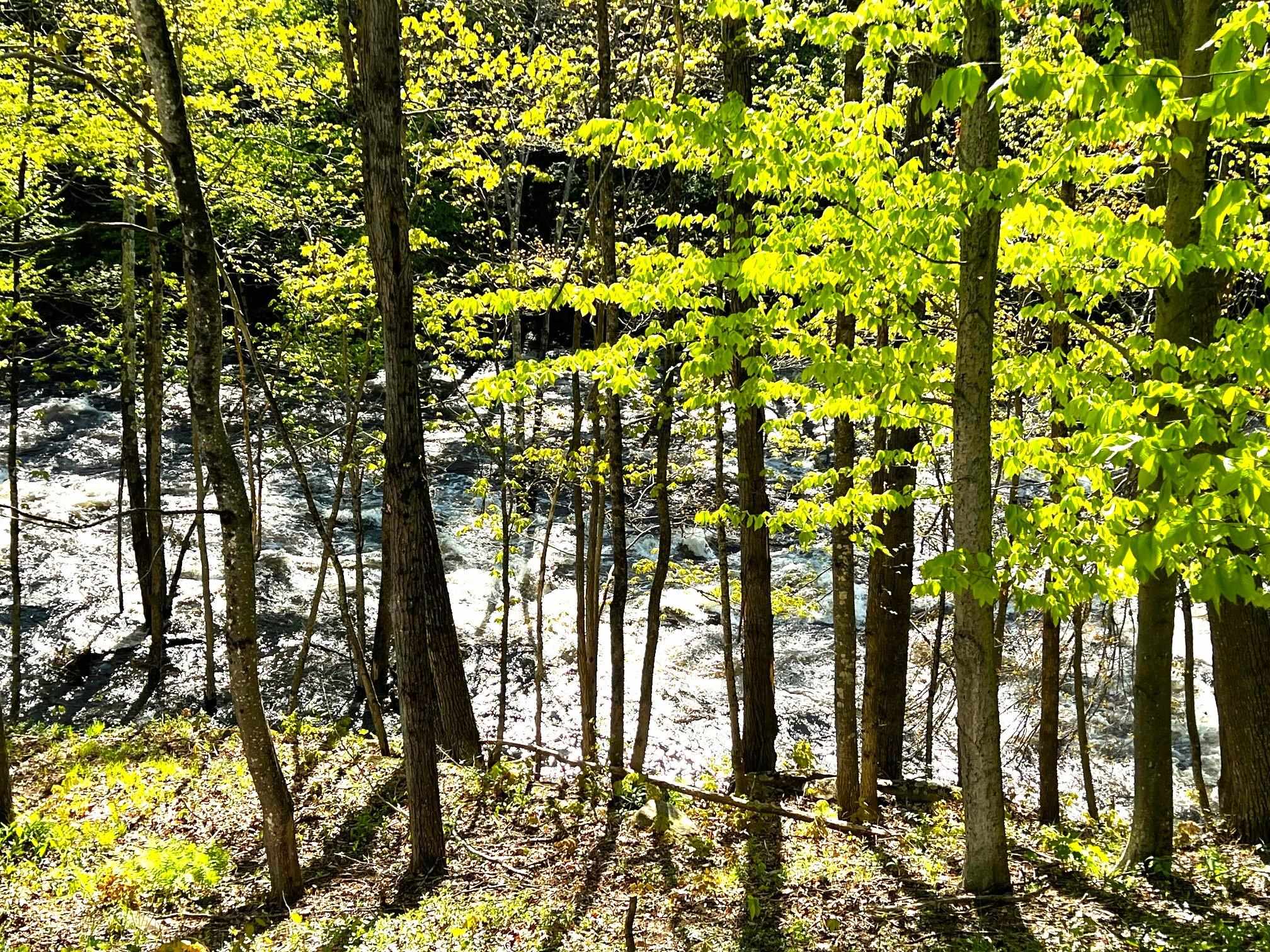 Homes for sale in Salisbury, NH | 516 W Salisbury Rd, Salisbury, NH 03268 | MLS# 5021655