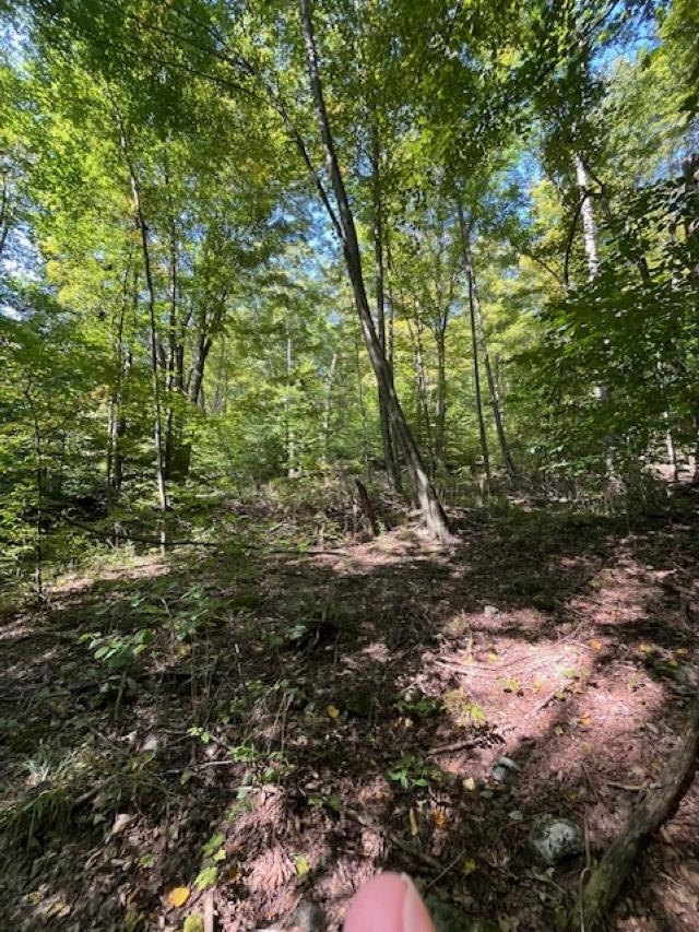 Homes for sale in Sandgate, VT | 0 Rupert Rd, Sandgate, VT 05250 | MLS# 5021897