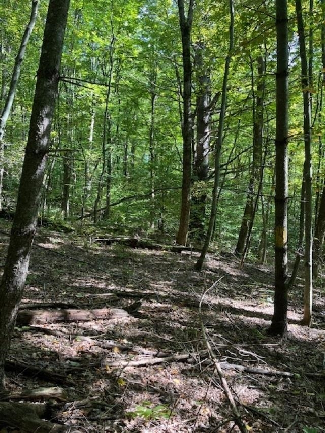 Homes for sale in Sandgate, VT | 0 Rupert Rd, Sandgate, VT 05250 | MLS# 5021897