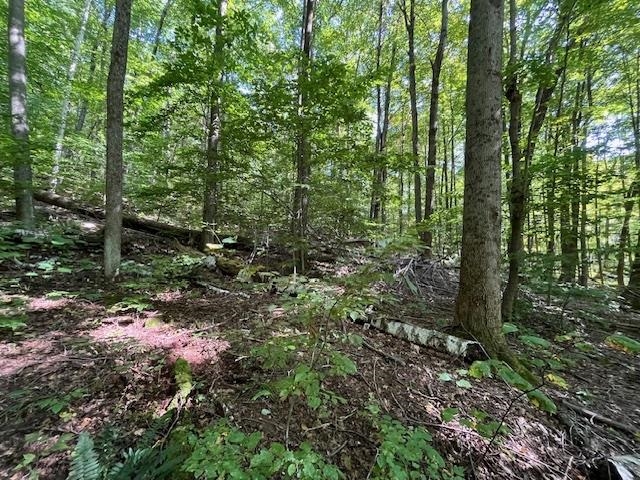 Homes for sale in Sandgate, VT | 0 Rupert Rd, Sandgate, VT 05250 | MLS# 5021897