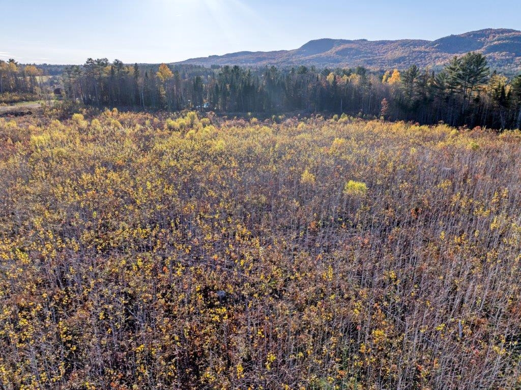 Homes for sale in Dalton, NH | Lot 4 Mcintyre Rd, Dalton, NH 03598 | MLS# 5022034