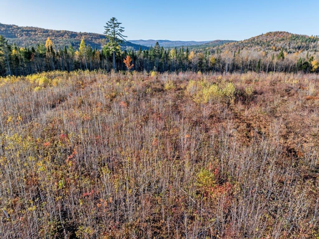 Homes for sale in Dalton, NH | Lot 4 Mcintyre Rd, Dalton, NH 03598 | MLS# 5022034