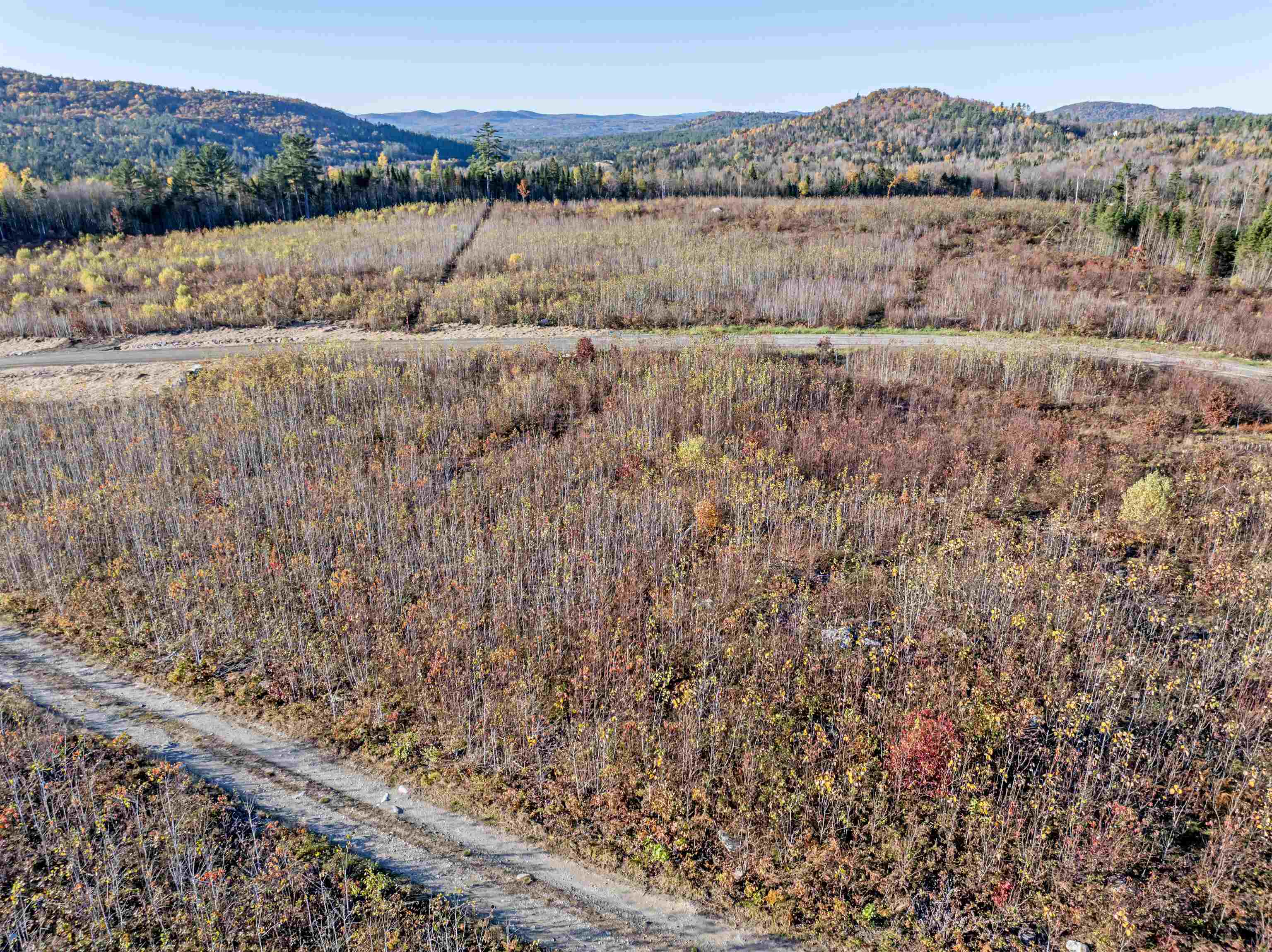 Homes for sale in Dalton, NH | Lot 10 Mcintyre Rd, Dalton, NH 03598 | MLS# 5022040