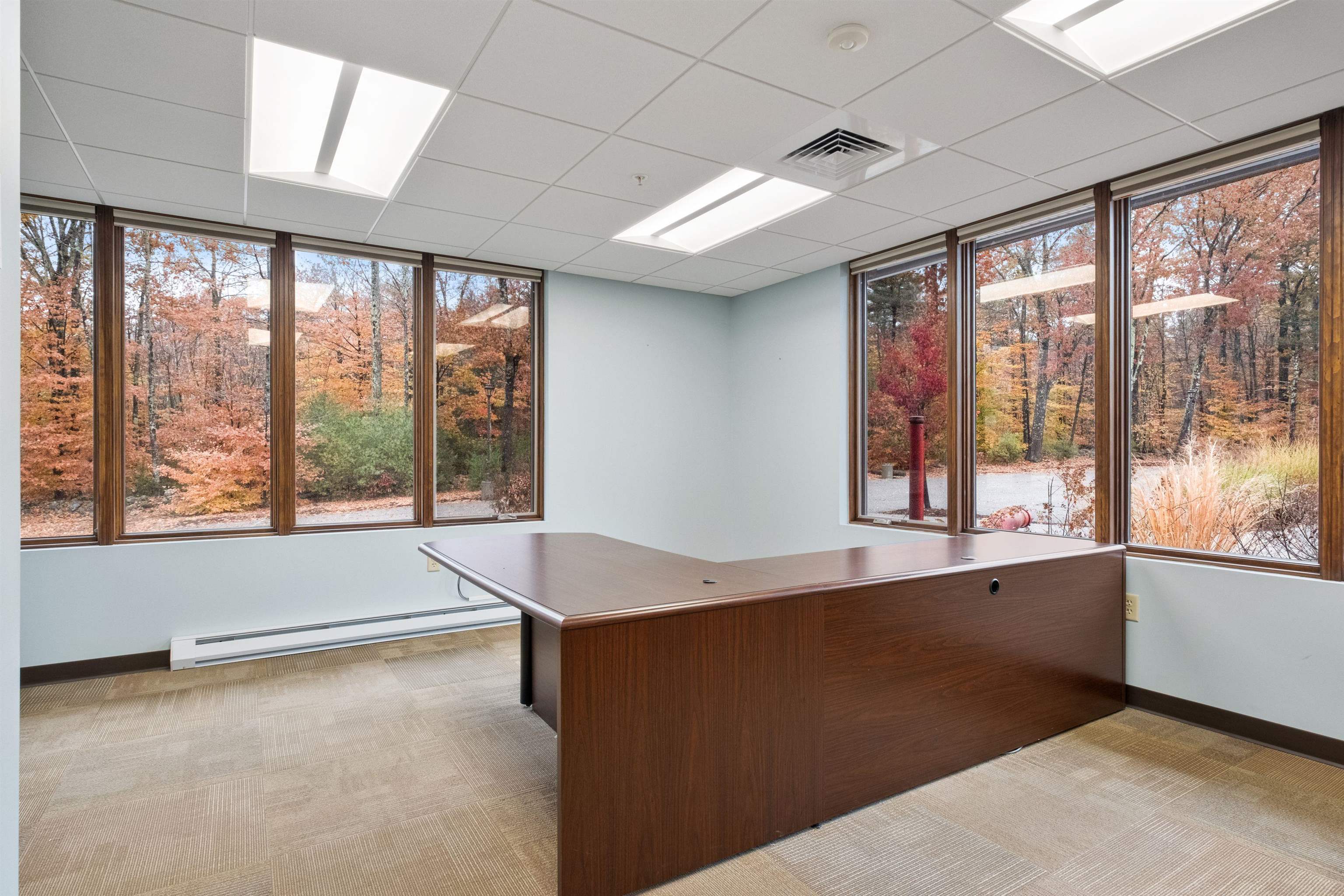 MLS #5022057 image #16