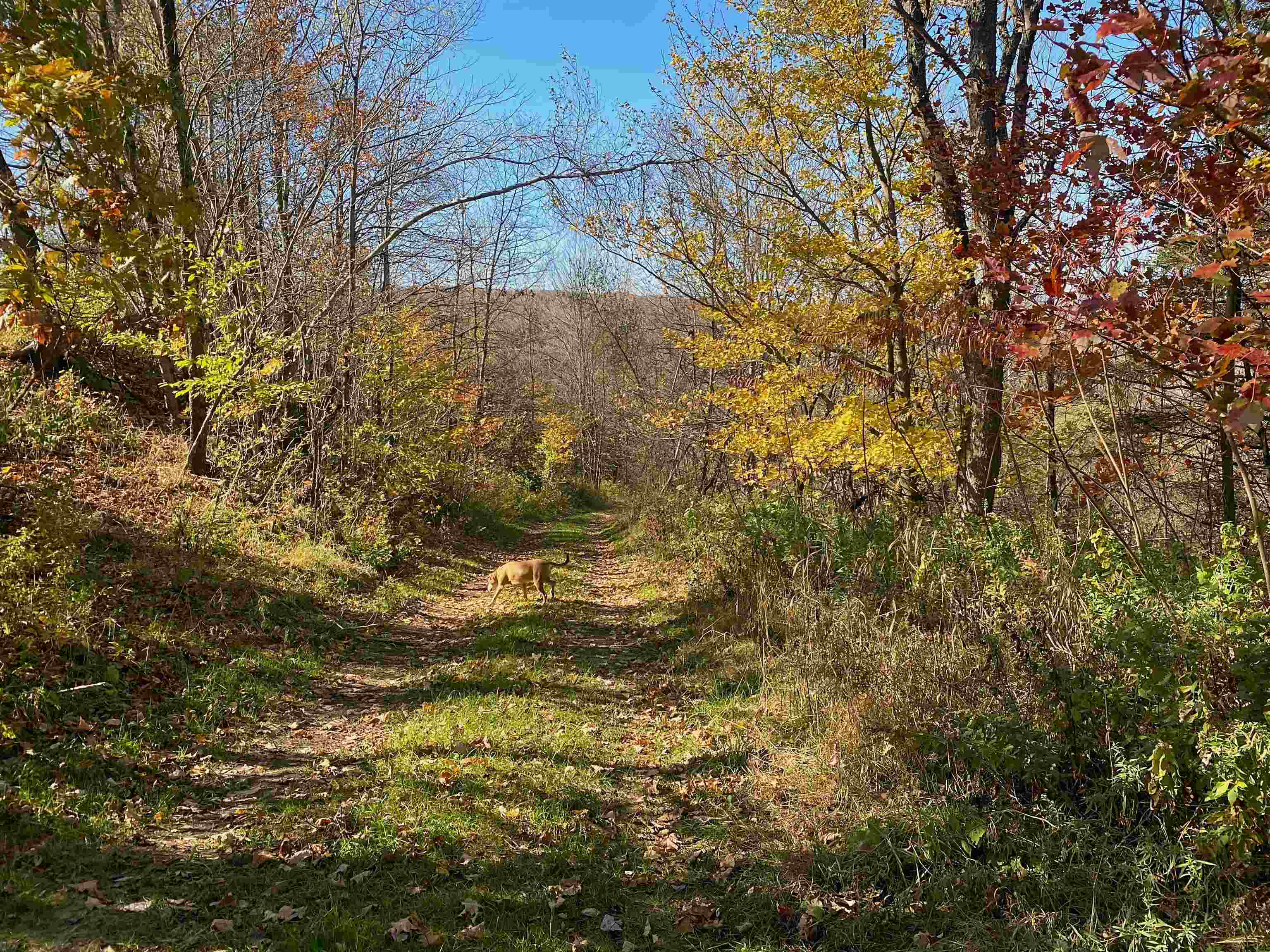 Homes for sale in Troy, VT | 435 Dominion Ave, Troy, VT 05859 | MLS# 5022437