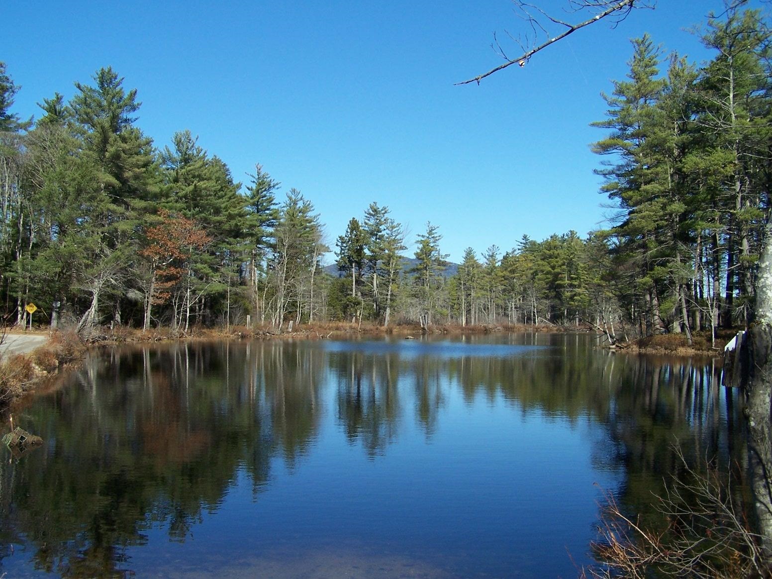 Homes for sale in Fitzwilliam, NH | 00 Scott Pond Rd, Fitzwilliam, NH 03447 | MLS# 5022610