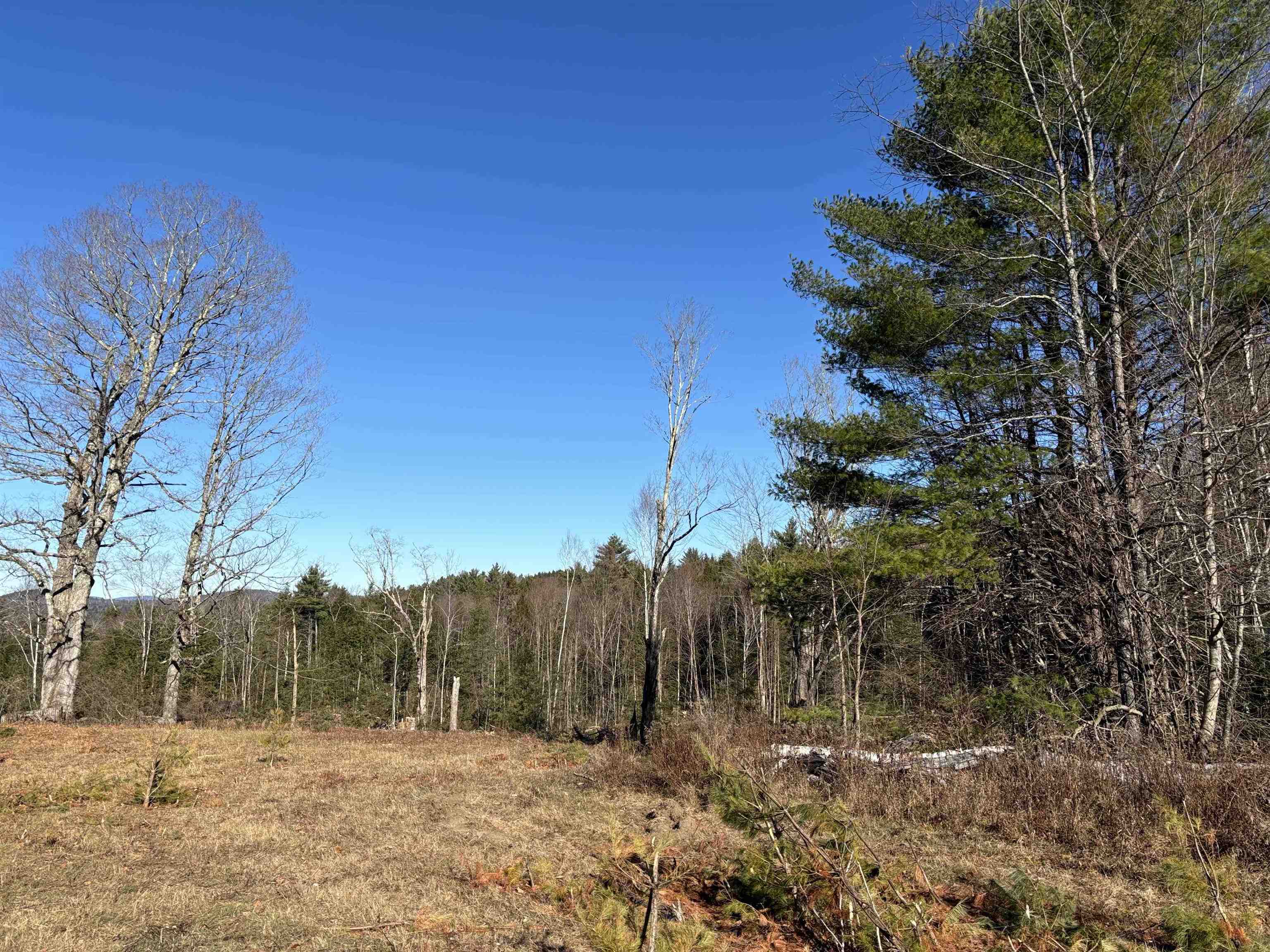 Homes for sale in Goshen, NH | Lot 11 5 Ball Park Rd, Goshen, NH 03752 | MLS# 5022921
