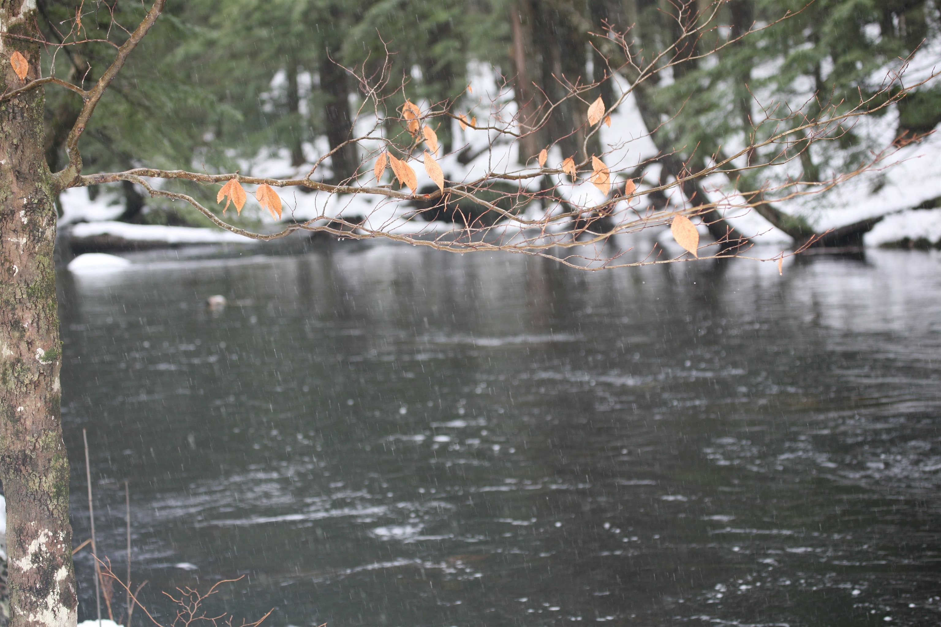 Homes for sale in Tamworth, NH | 481 Chocorua Mountain Hwy, Tamworth, NH 03886 | MLS# 5023619