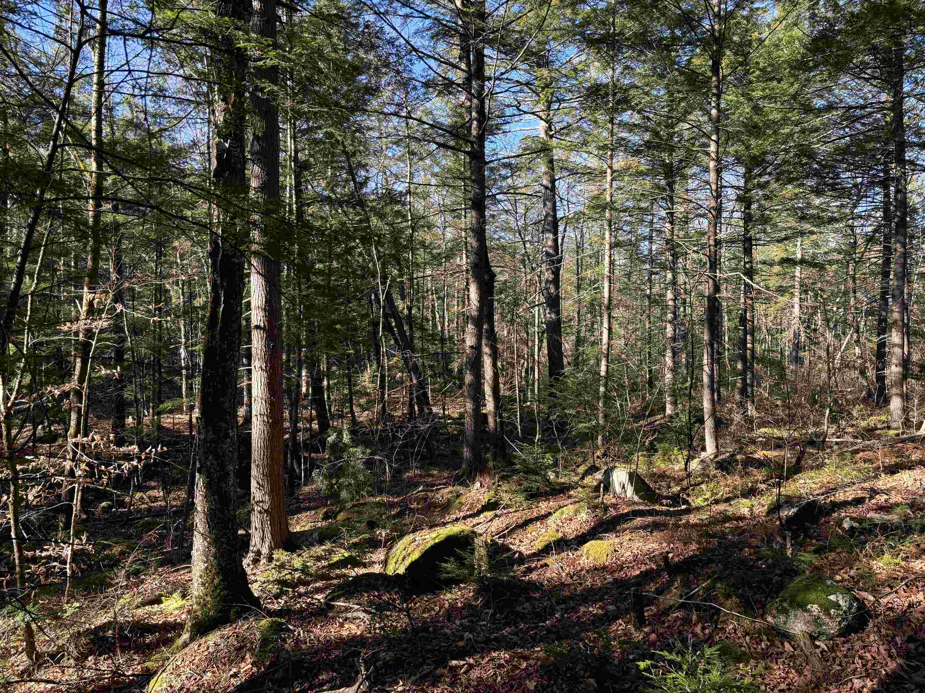 Homes for sale in Tamworth, NH | 481 Chocorua Mountain Hwy, Tamworth, NH 03886 | MLS# 5023619