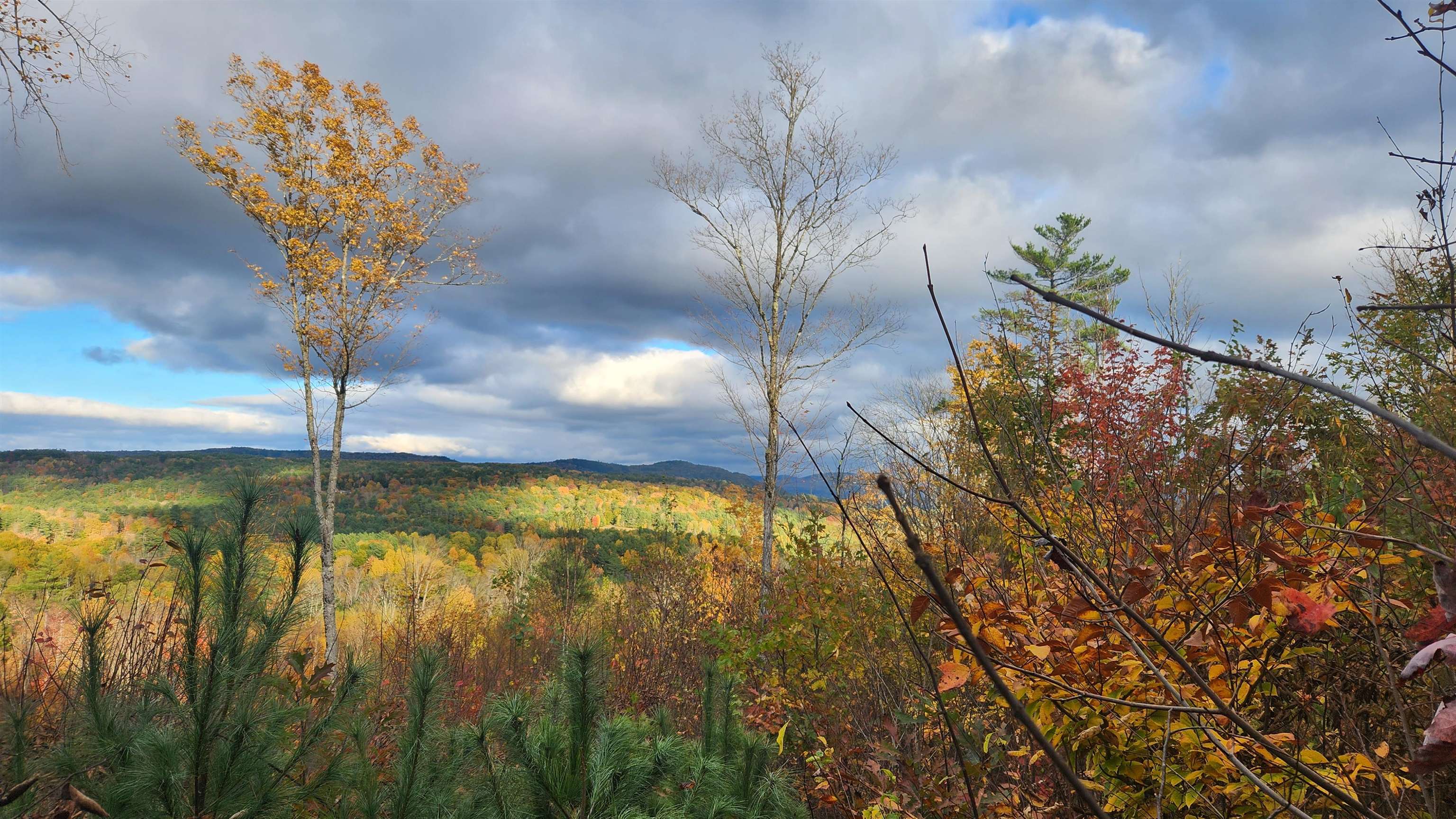 Homes for sale in Newbury, VT | 00 Route 302, Newbury, VT 05051 | MLS# 5024079