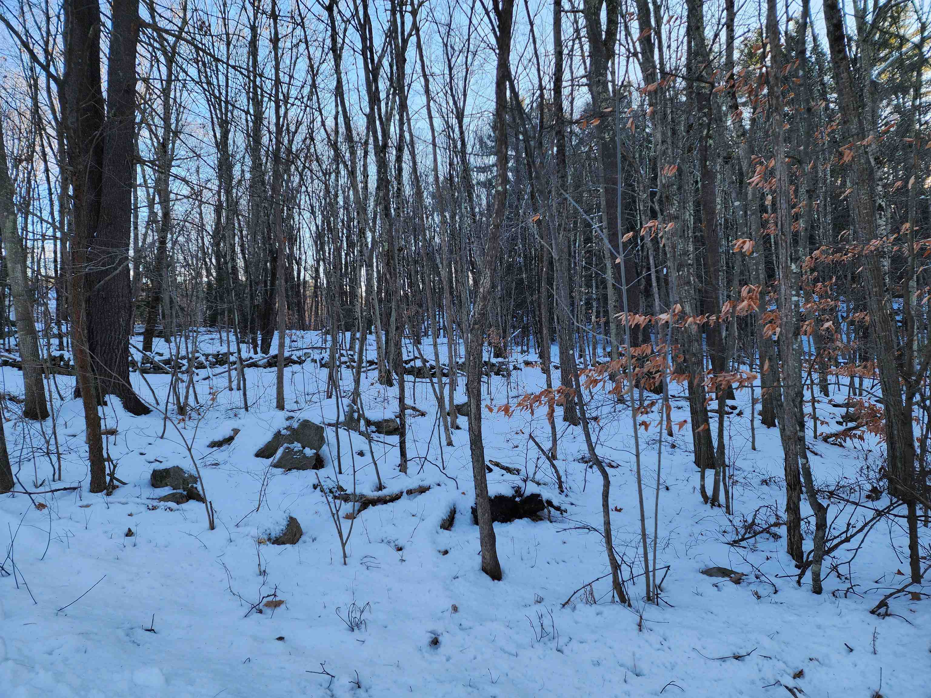 000 South Village Rd, Westmoreland, NH 03467