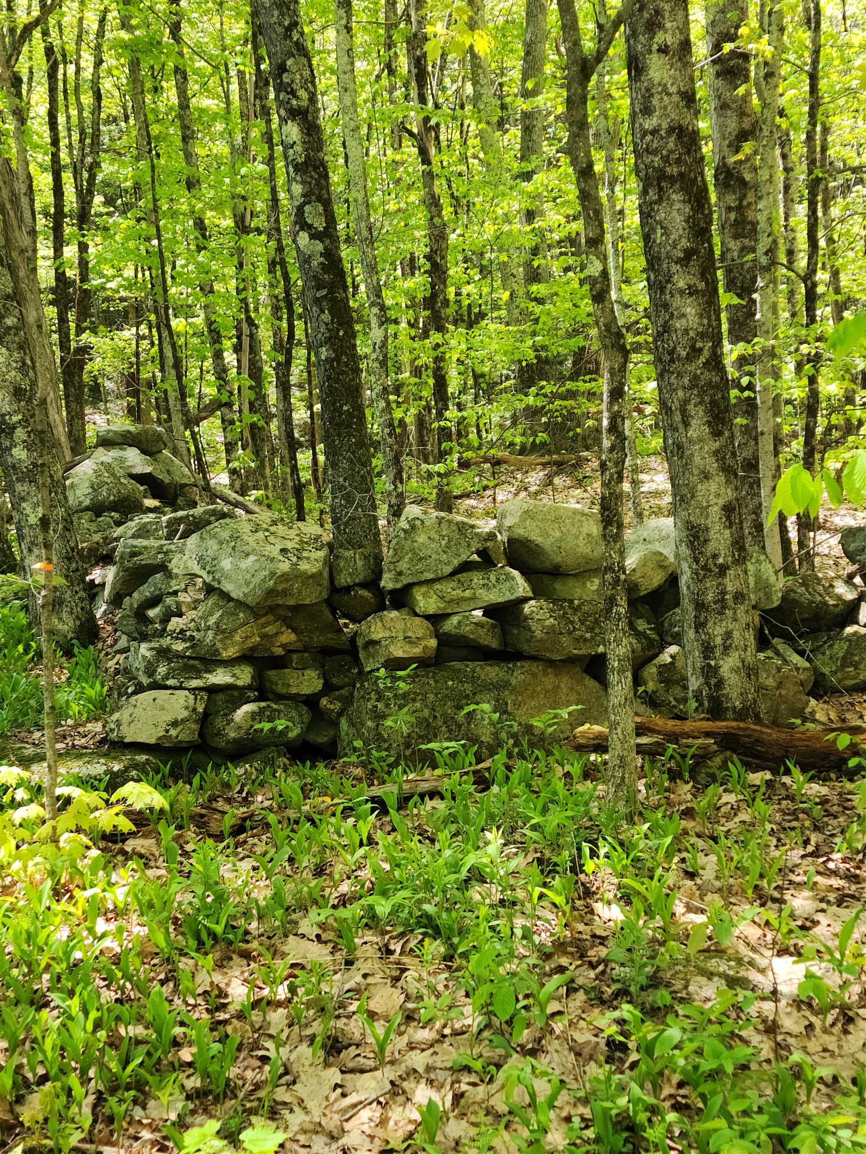 Homes for sale in Westmoreland, NH | 000 South Village Rd, Westmoreland, NH 03467 | MLS# 5024084