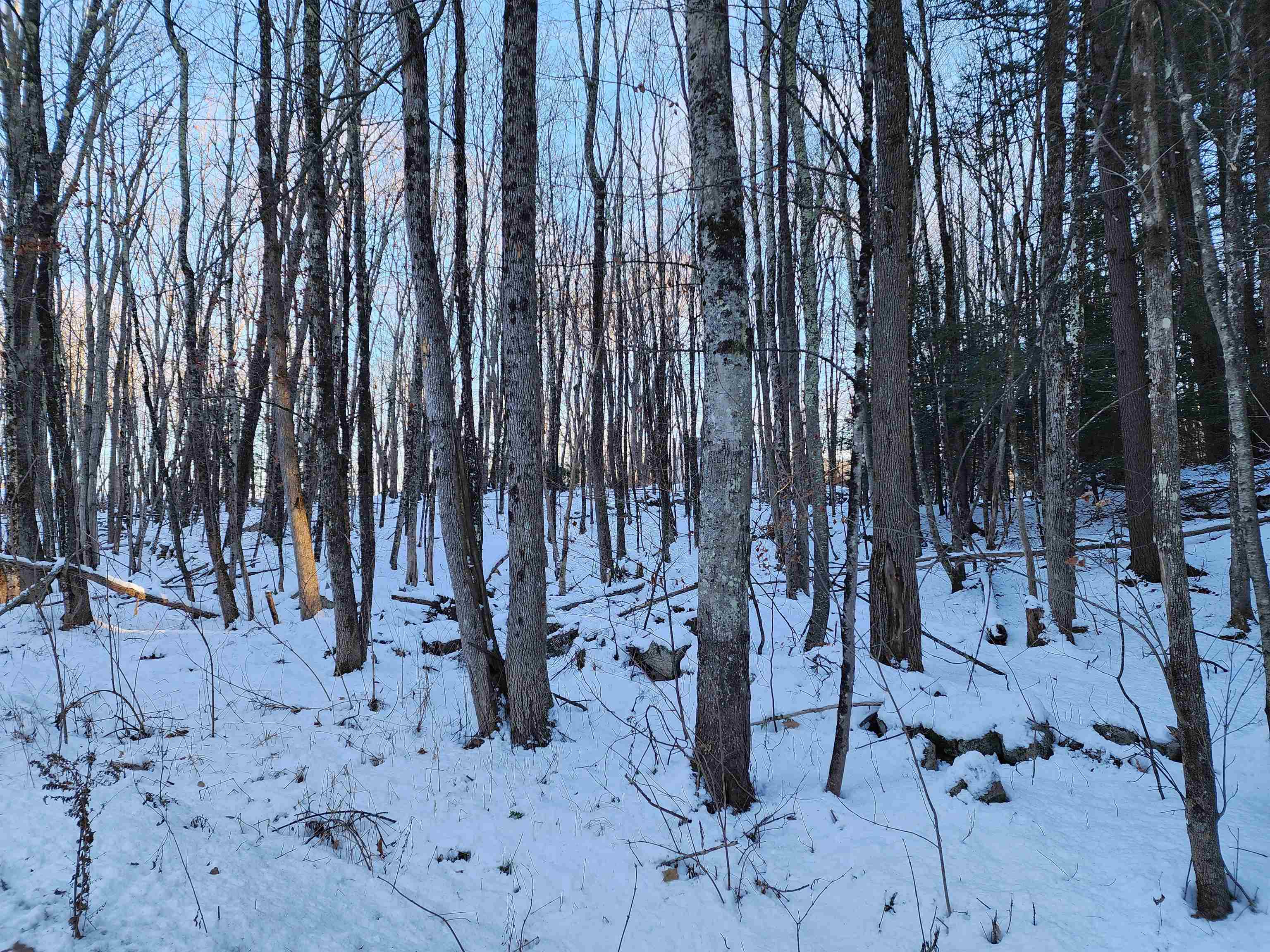 000 South Village Rd, Westmoreland, NH 03467