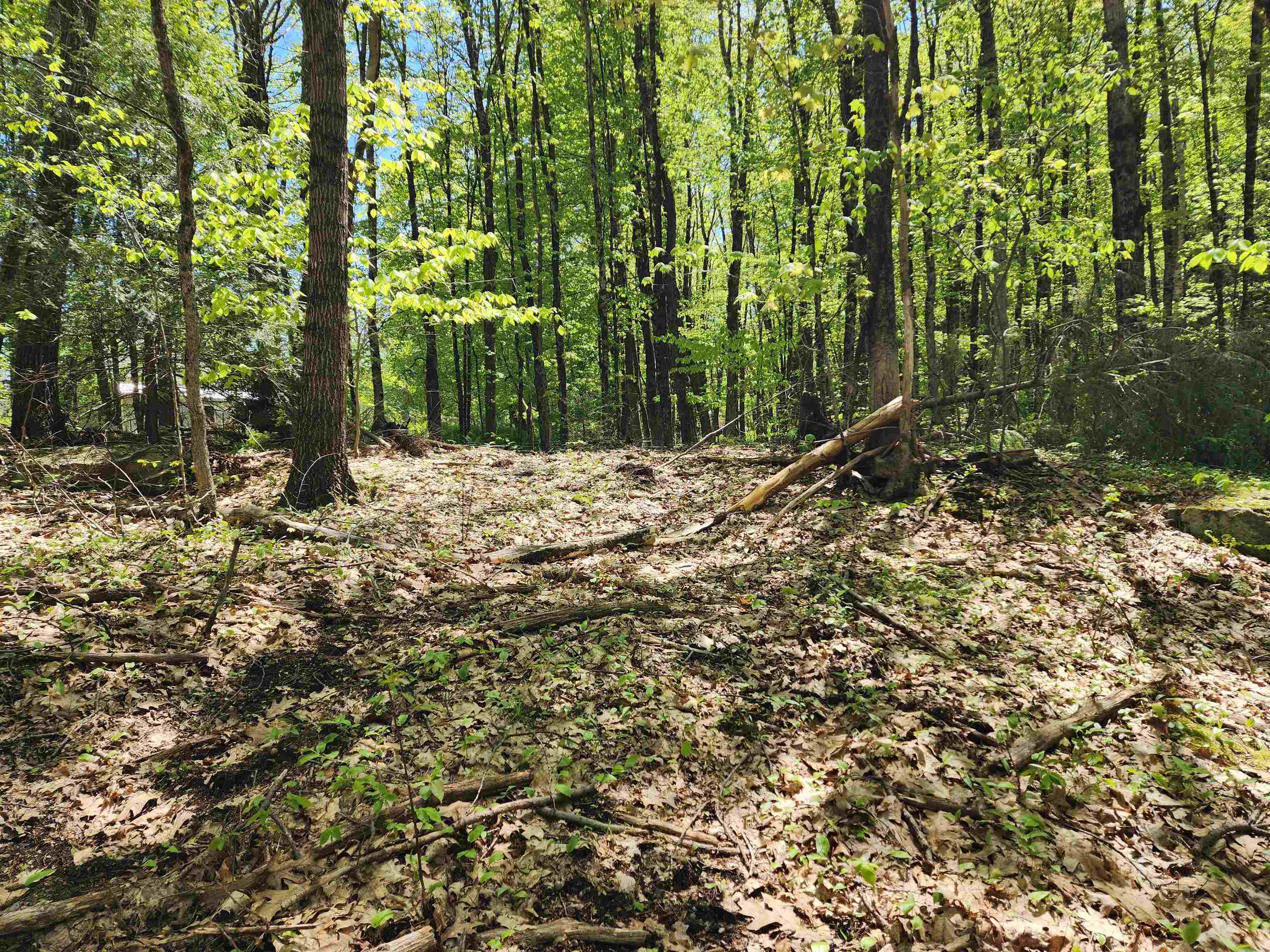 Homes for sale in Westmoreland, NH | 000 South Village Rd, Westmoreland, NH 03467 | MLS# 5024084