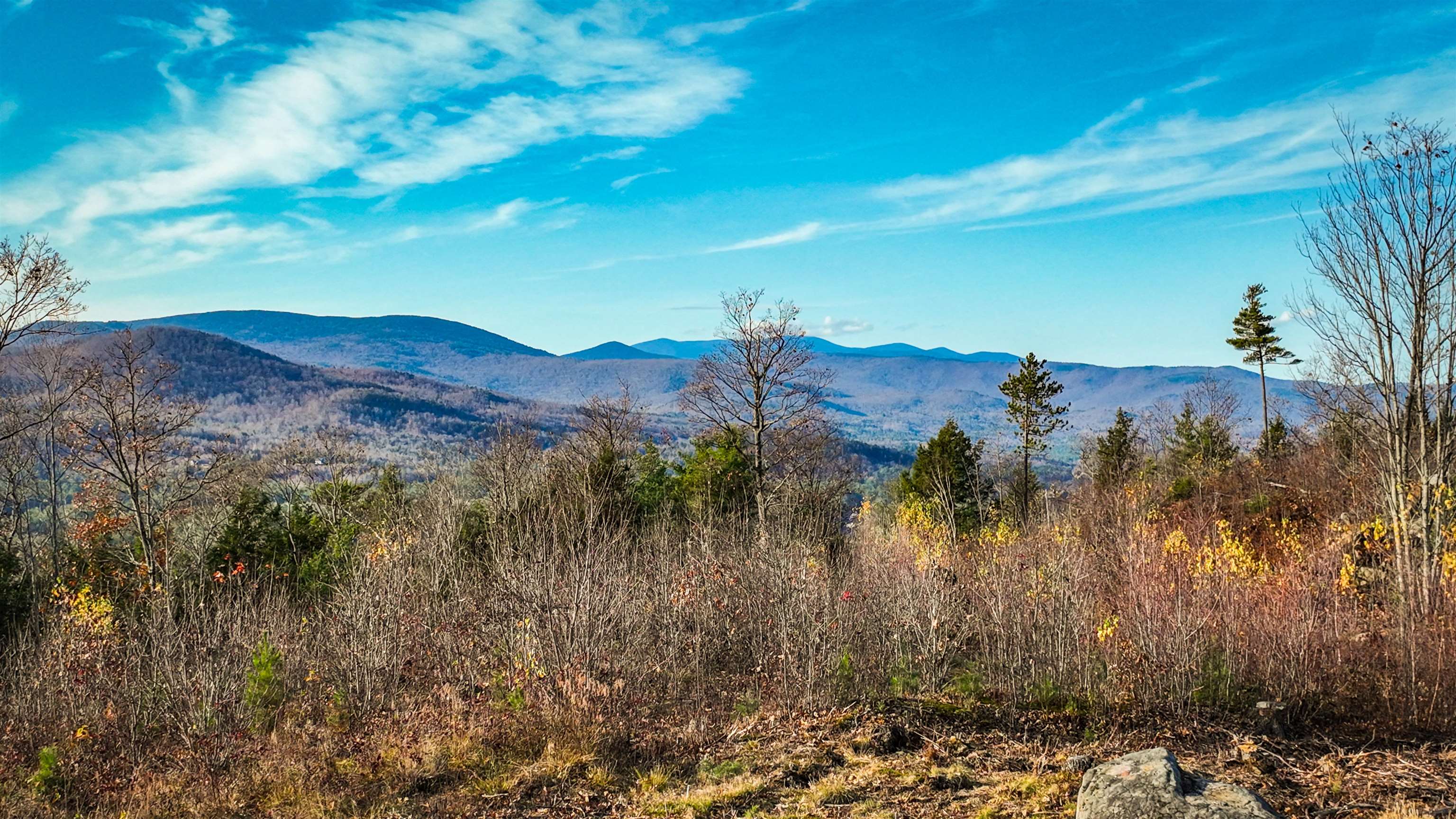 MLS #5024678 image #6