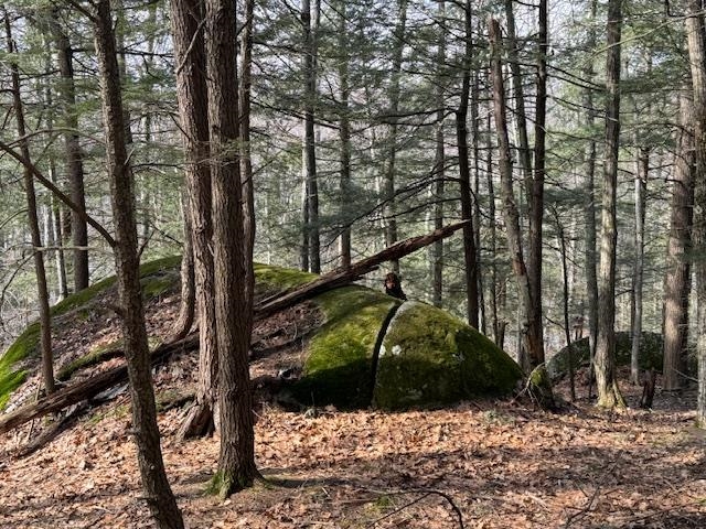 Homes for sale in Dublin, NH | 35 Boulder Dr, Dublin, NH 03444 | MLS# 5024927