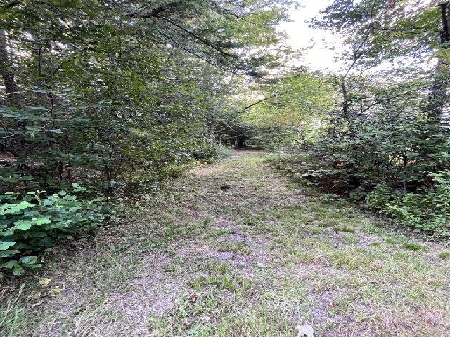 Homes for sale in Jaffrey, NH | 199 Bryant Rd, Jaffrey, NH 03452 | MLS# 5024945