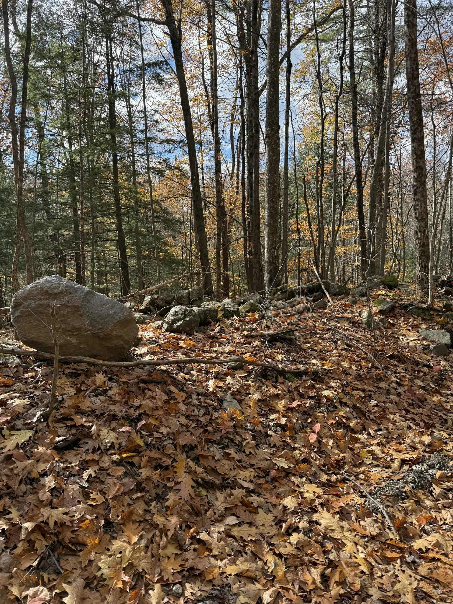 MLS #5025019 image #1