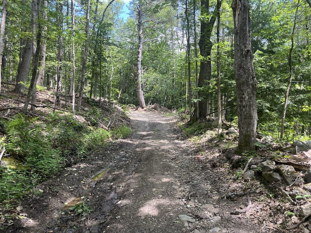 MLS #5025019 image #3