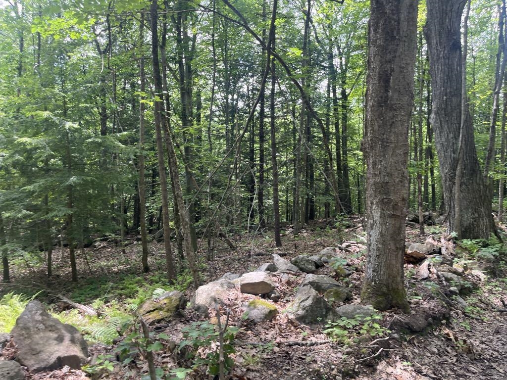 MLS #5025019 image #5