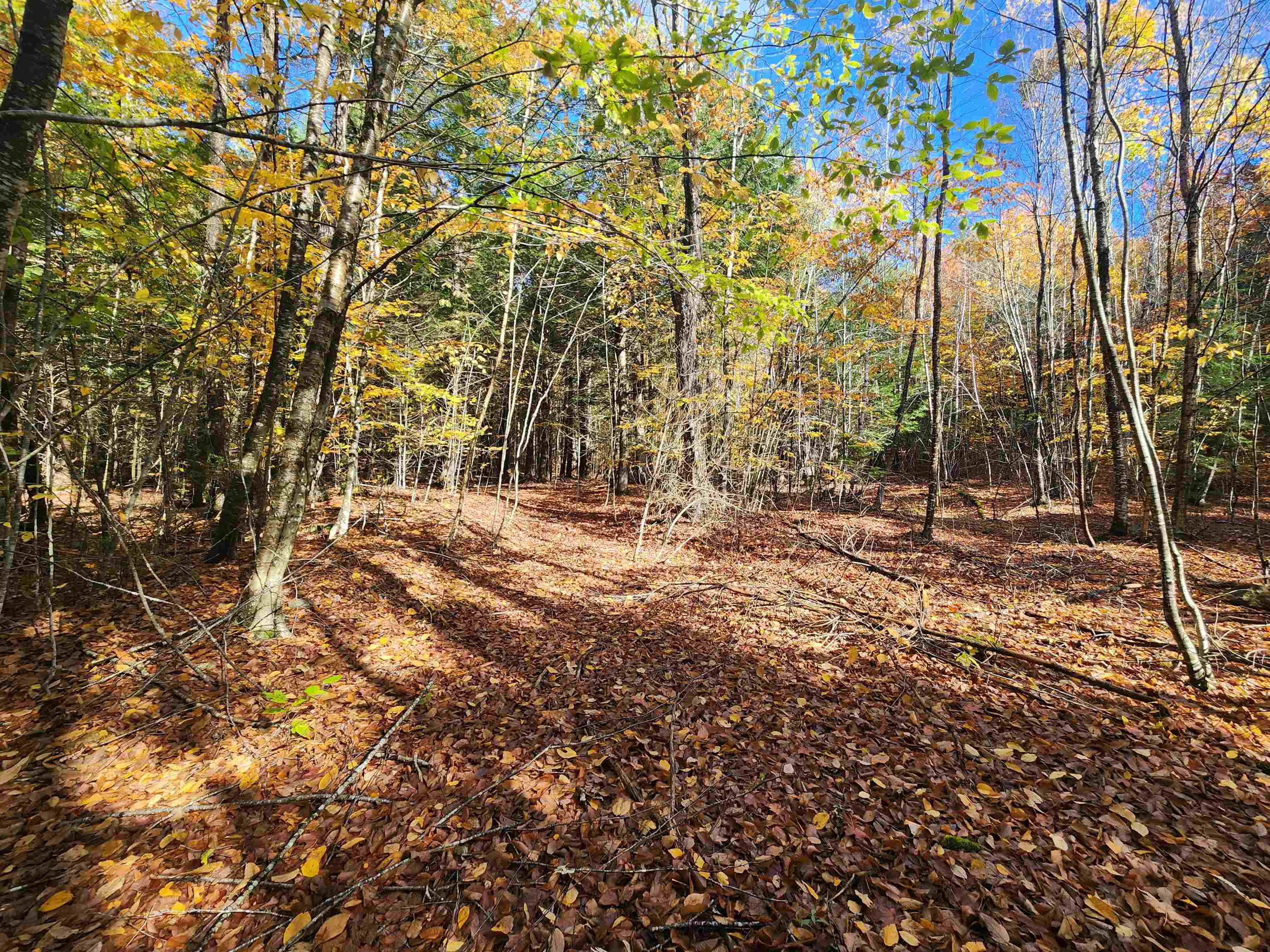 MLS #5025204 image #10