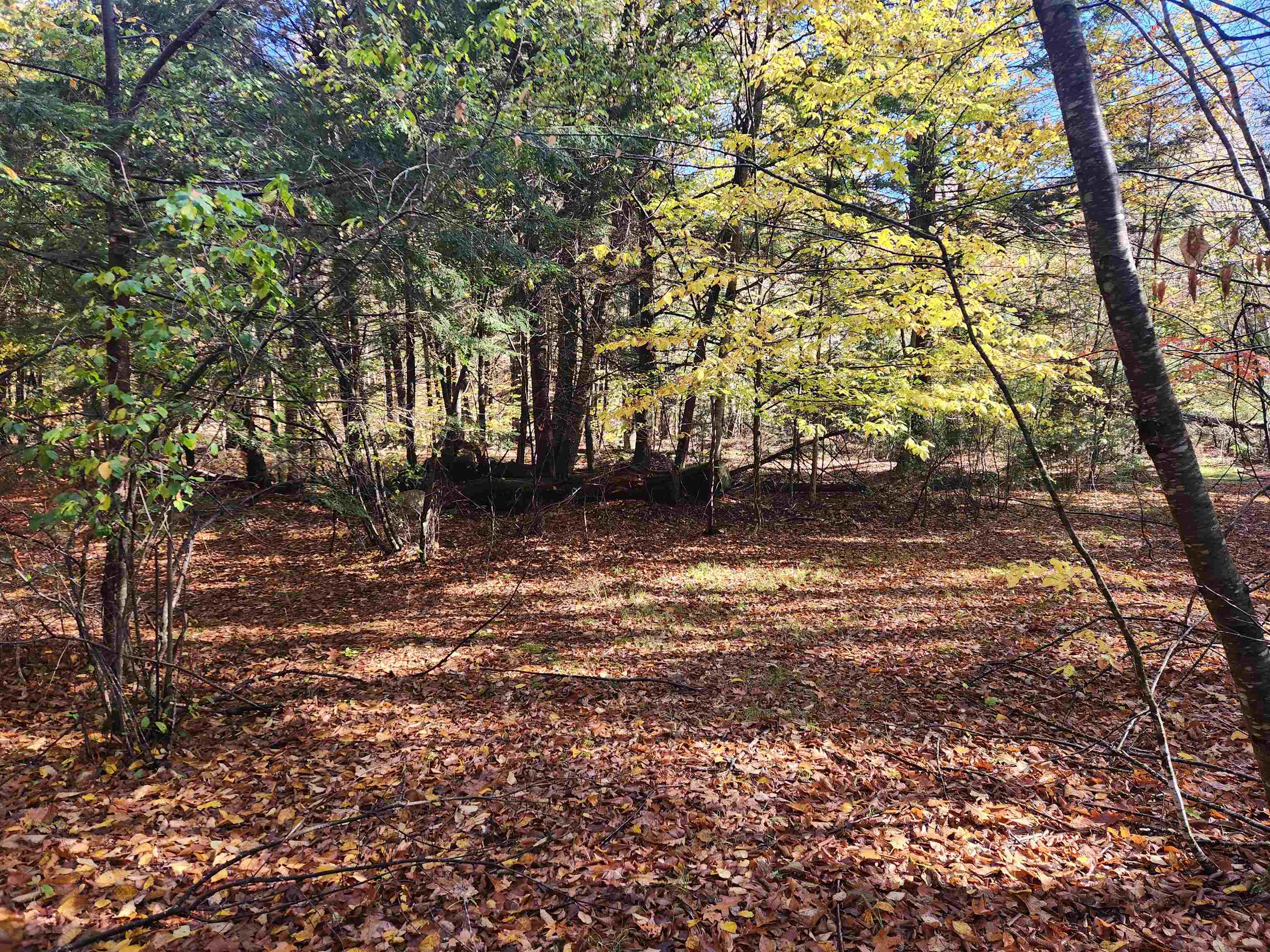 MLS #5025204 image #12